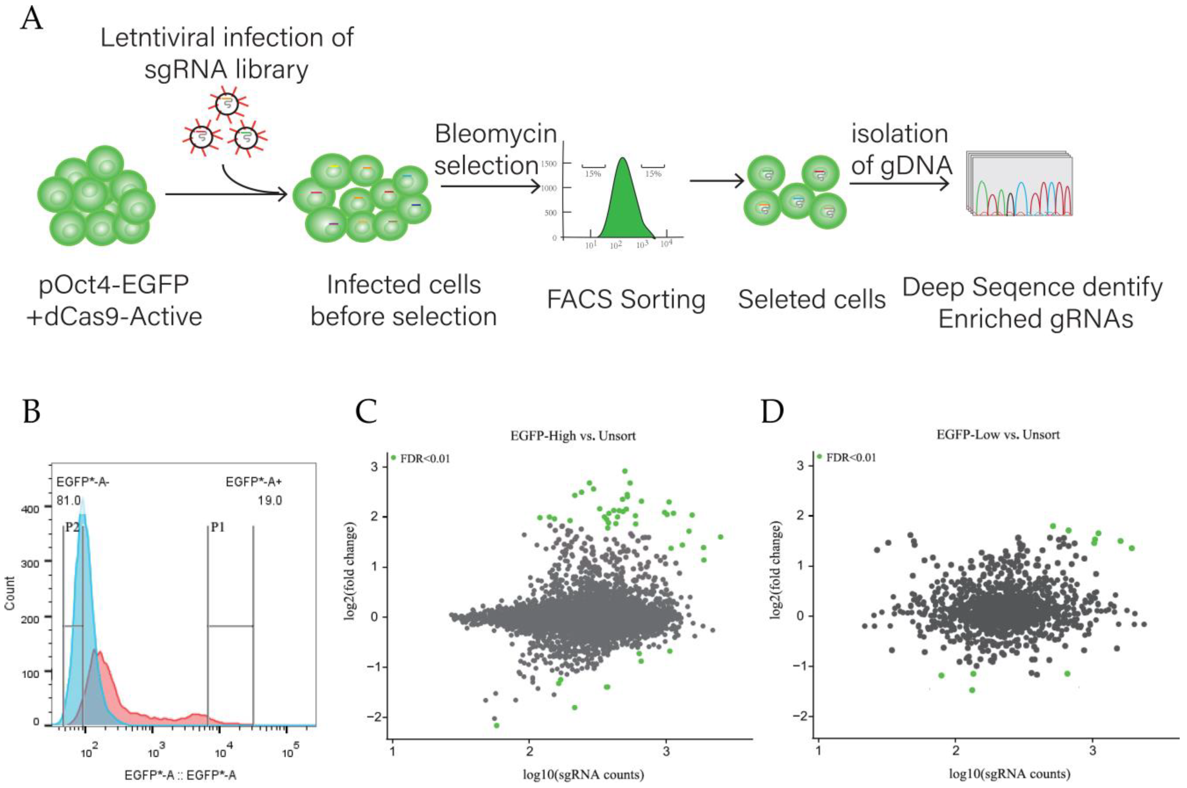 Animals 15 00019 g005