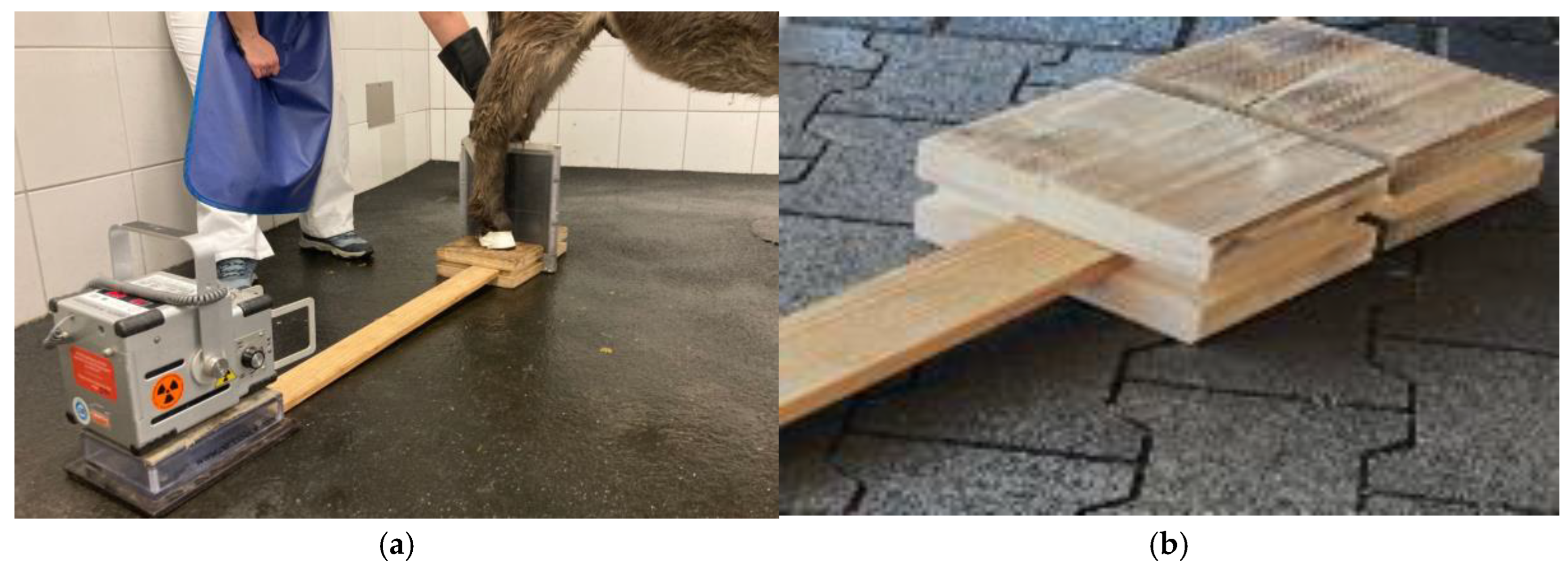 Animals 15 00022 g001