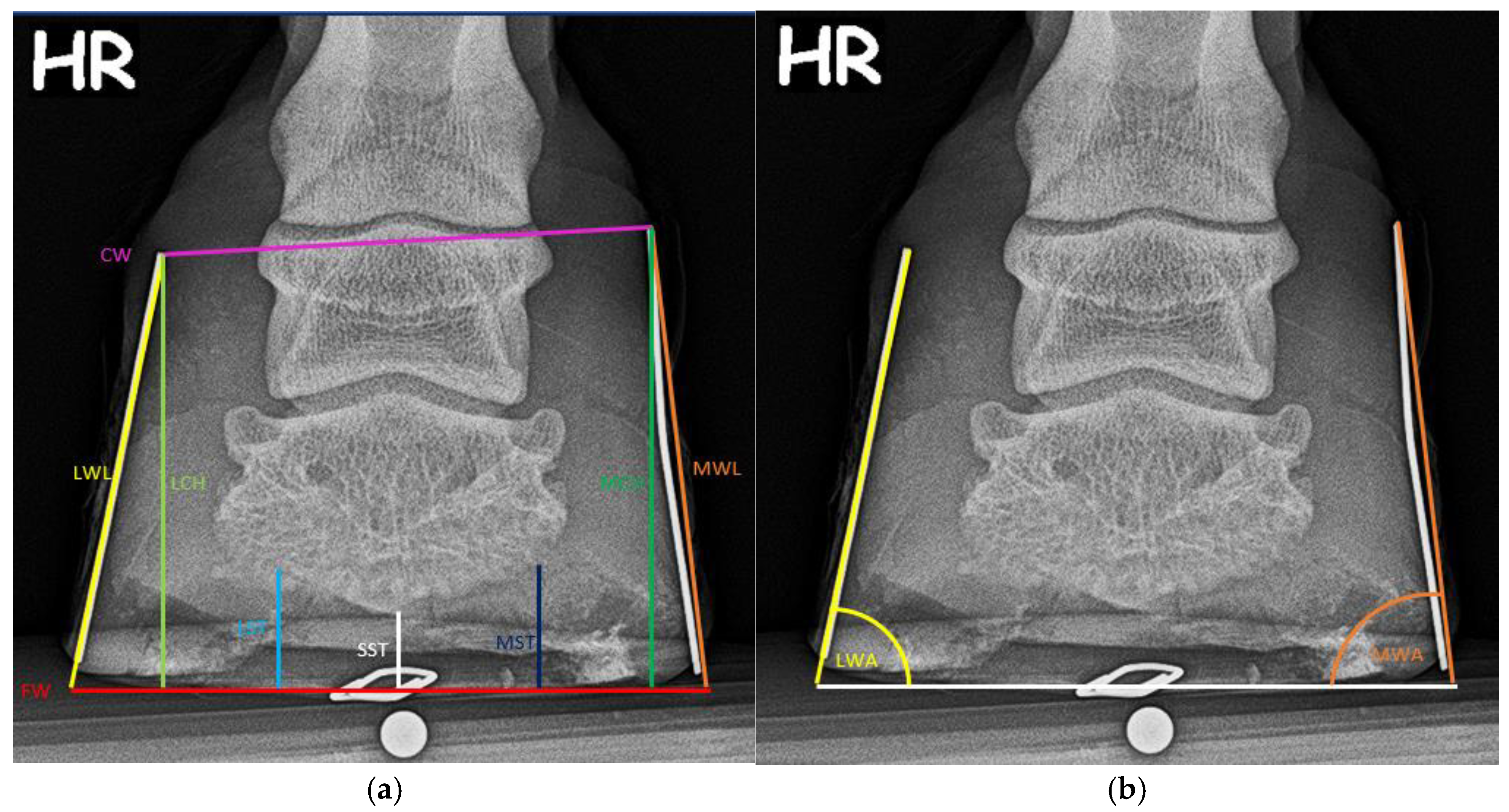 Animals 15 00022 g003