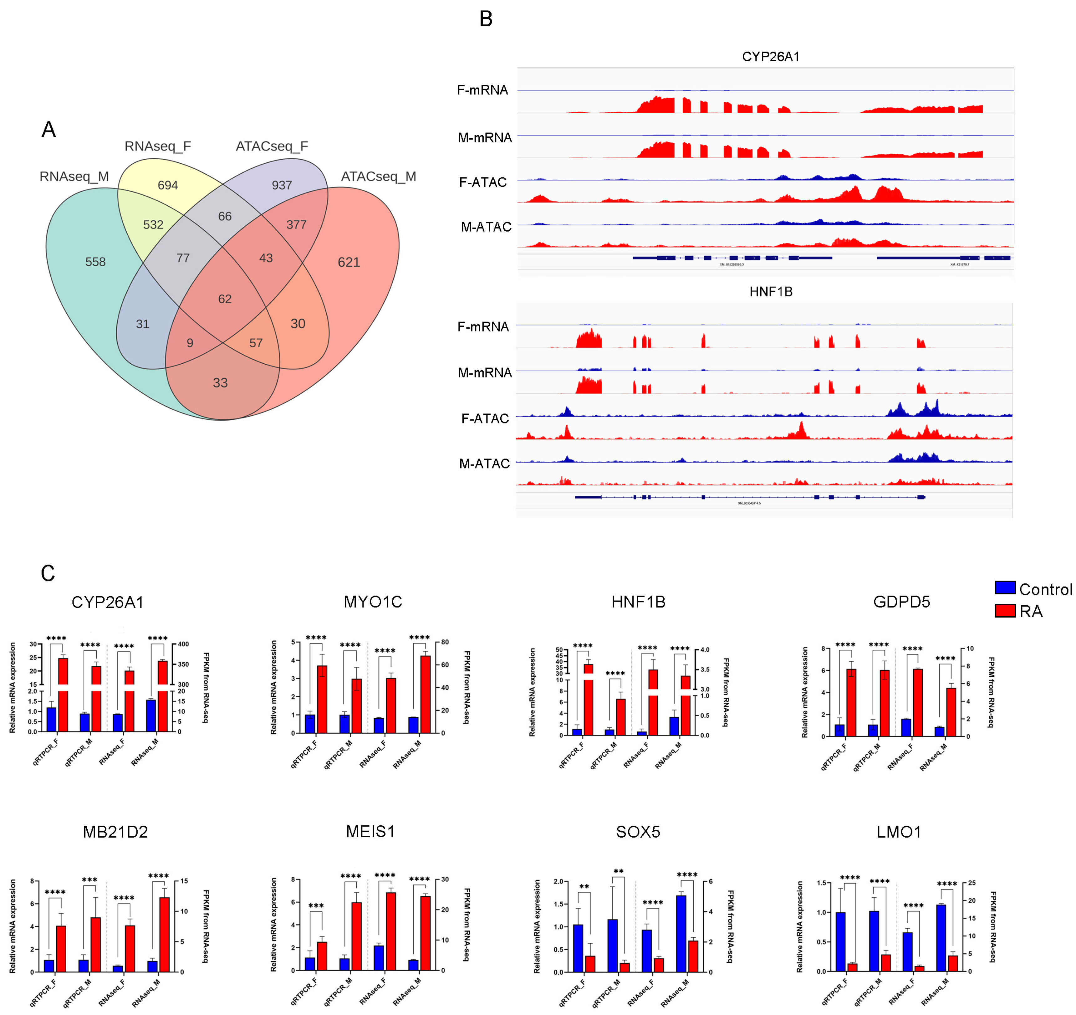 Animals 15 00023 g007