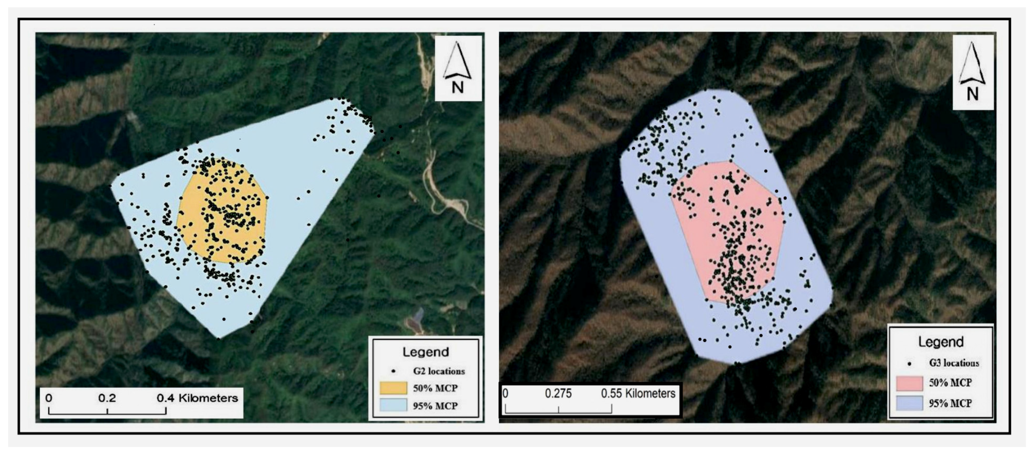Animals 15 00027 g002