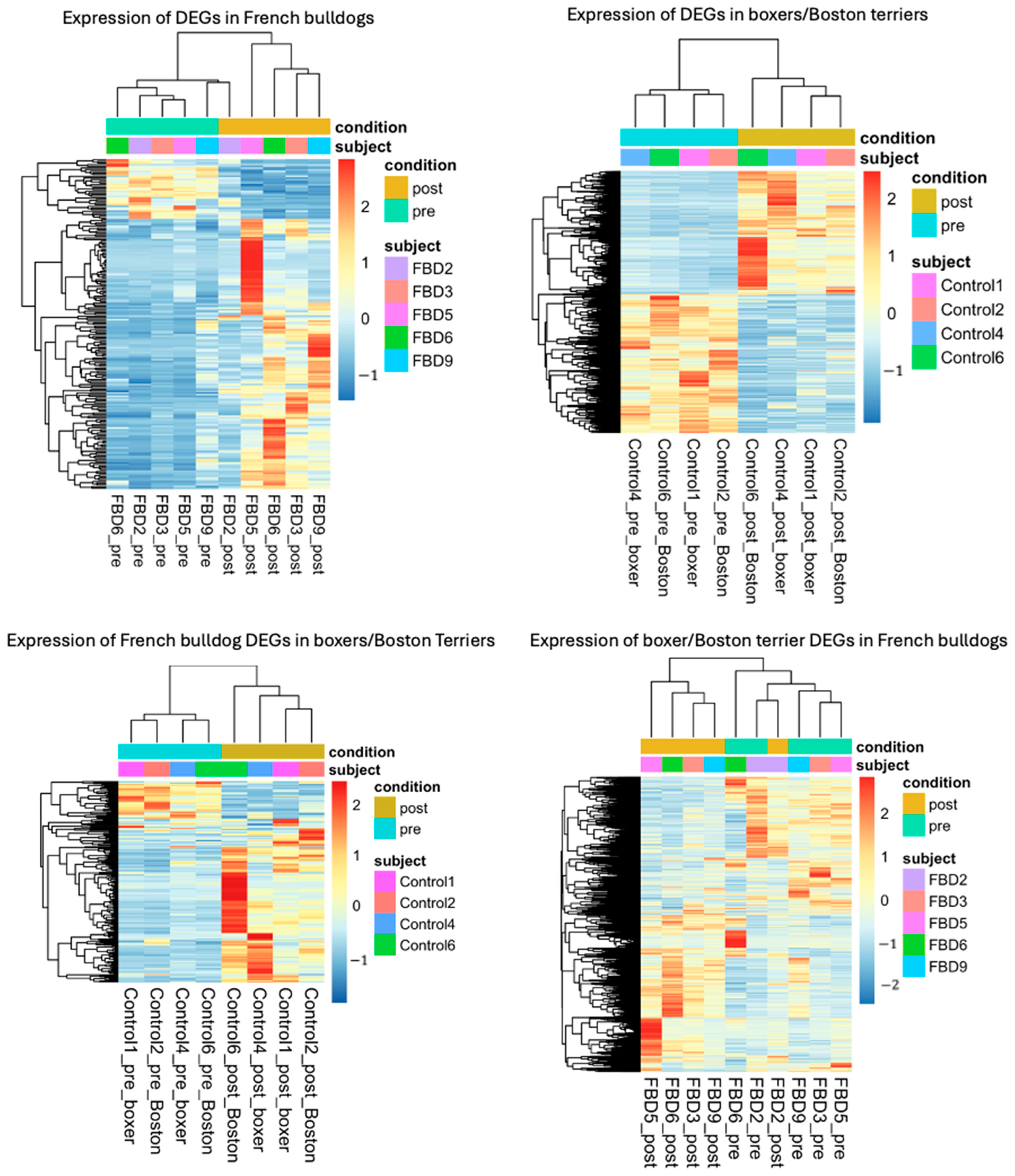 Animals 15 00028 g001