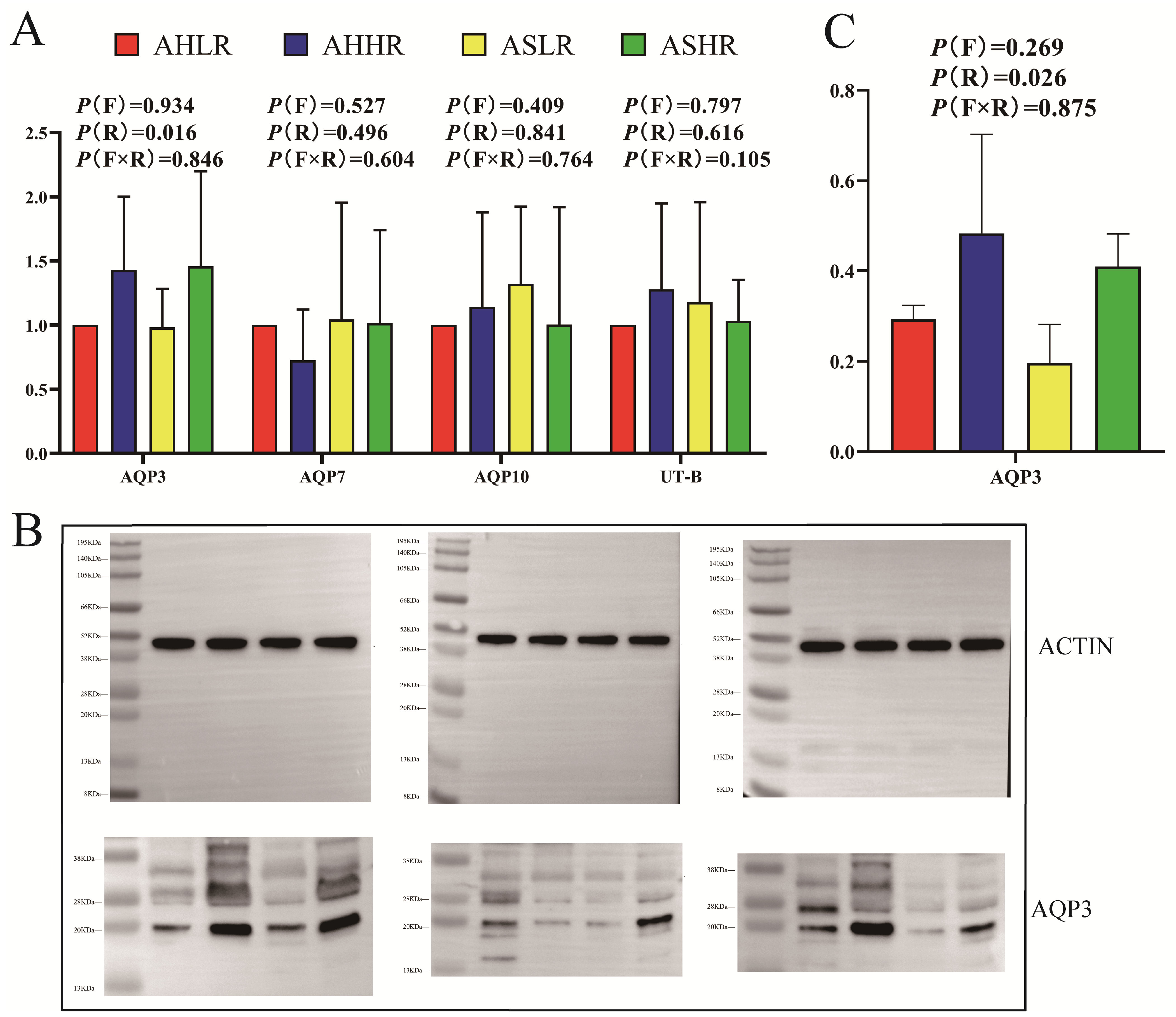 Animals 15 00034 g003