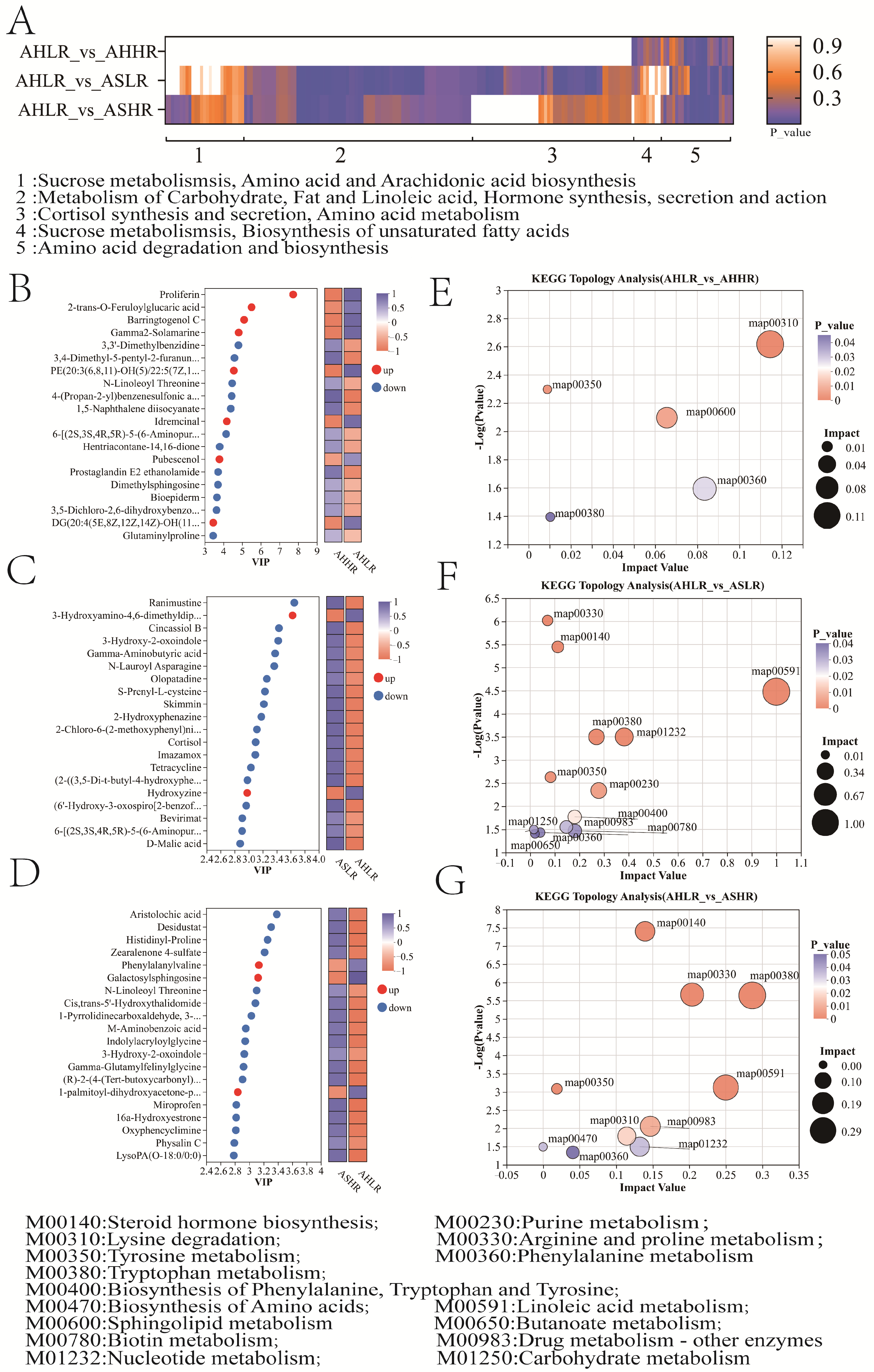 Animals 15 00034 g007