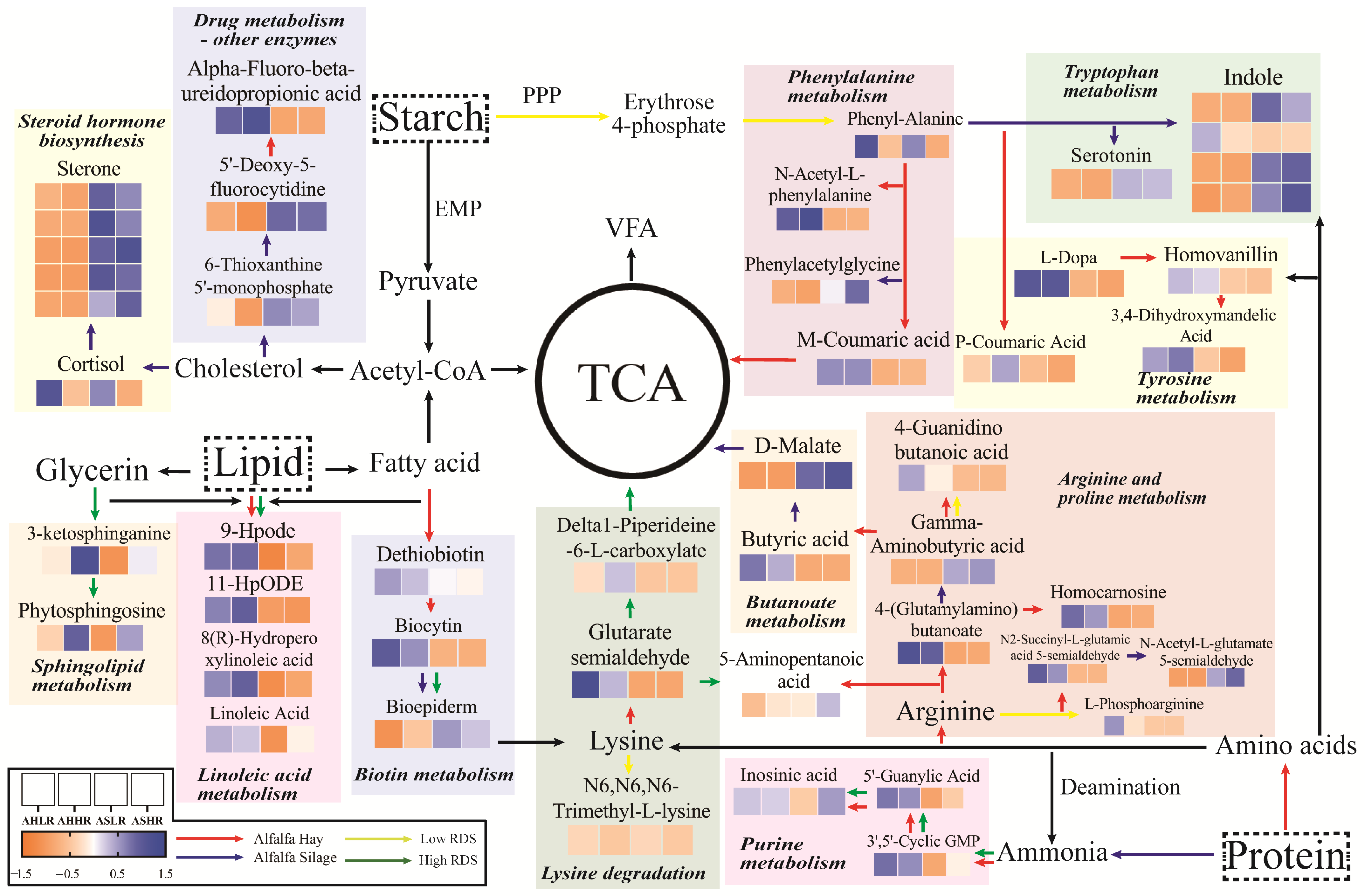 Animals 15 00034 g008