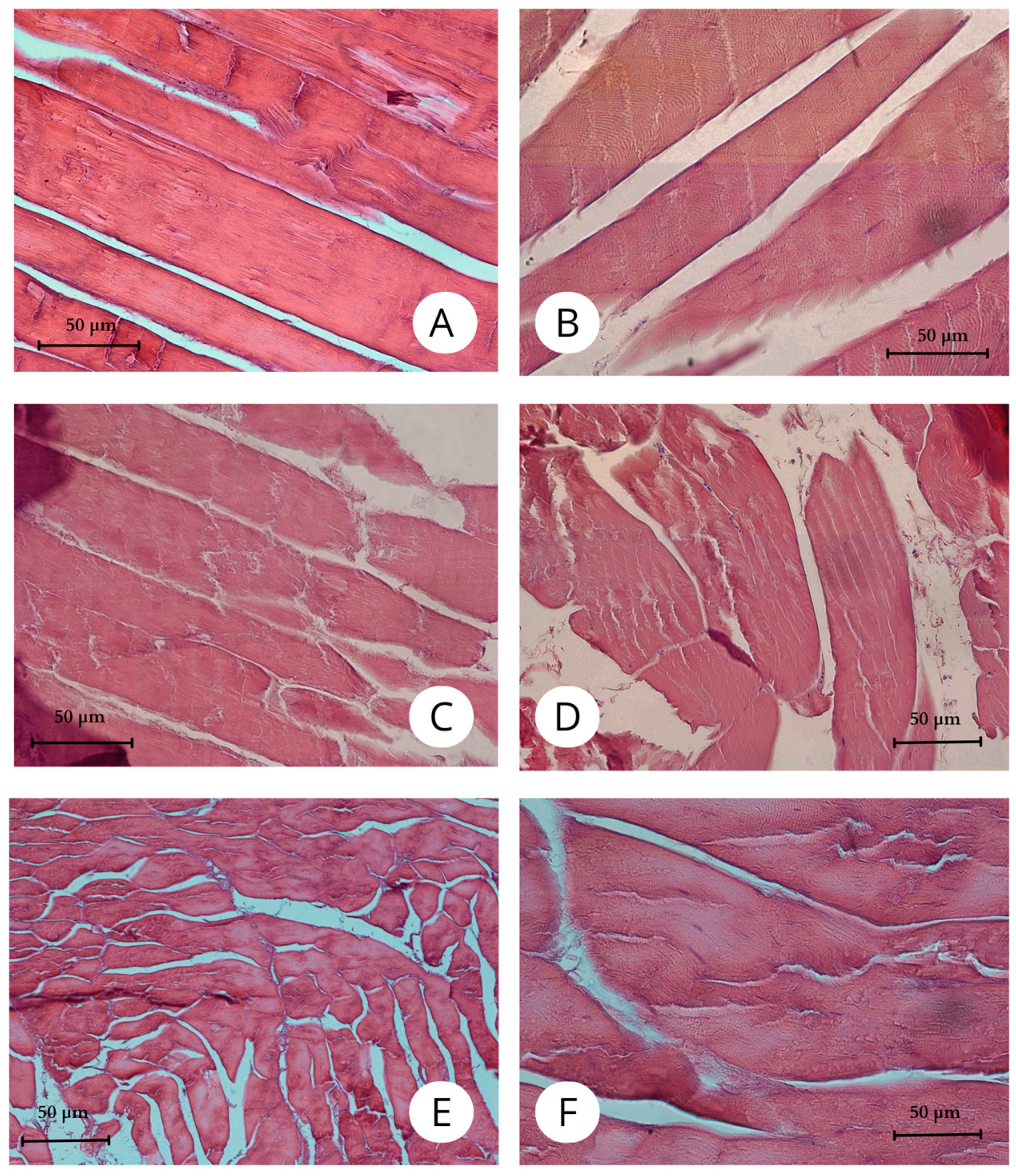 Animals 15 00035 g005