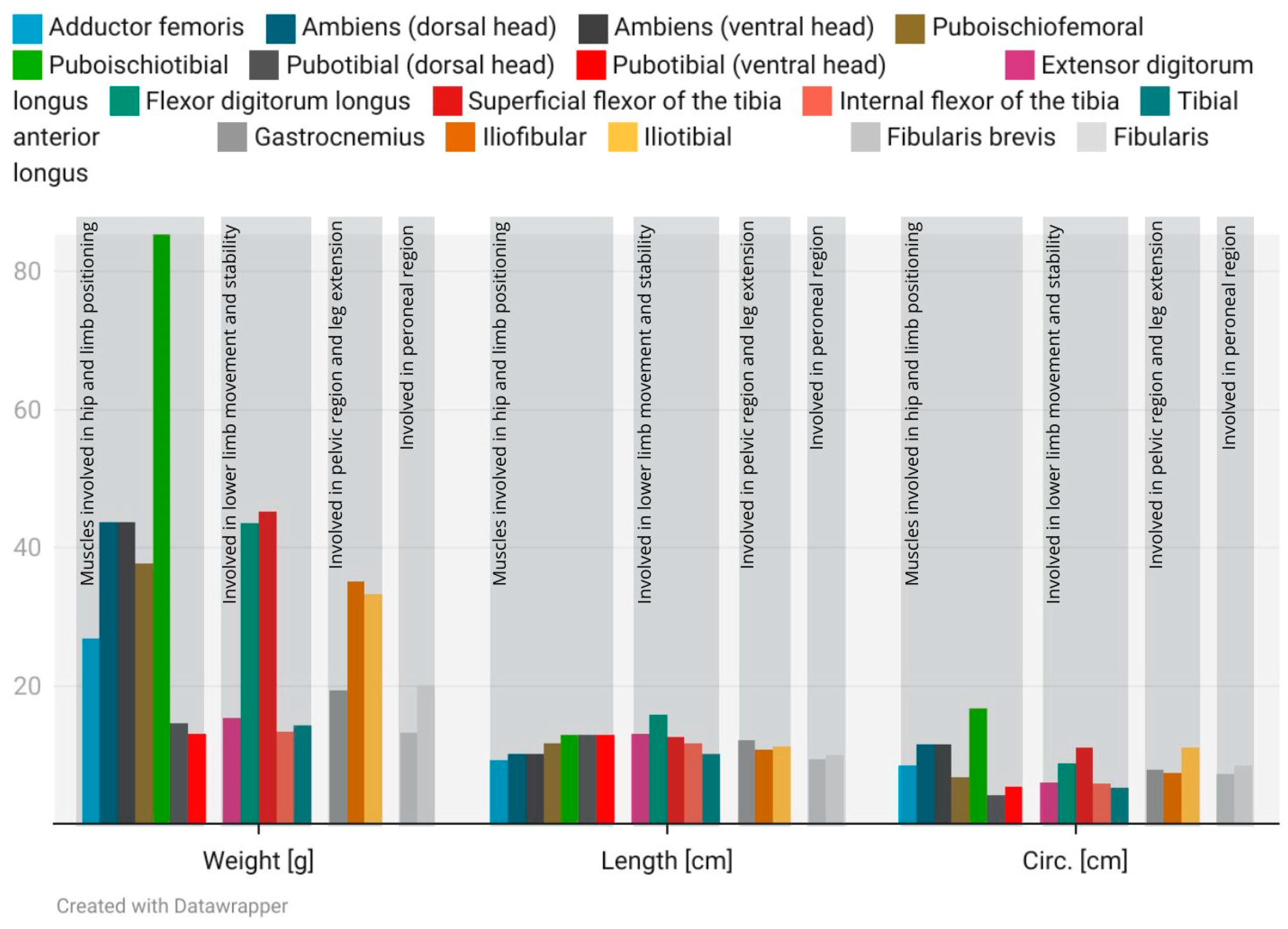 Animals 15 00035 g006