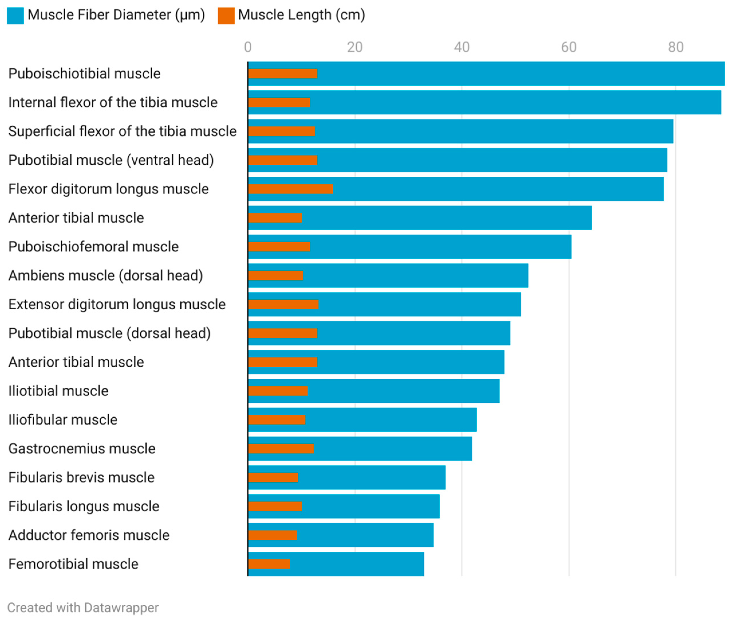 Animals 15 00035 g008