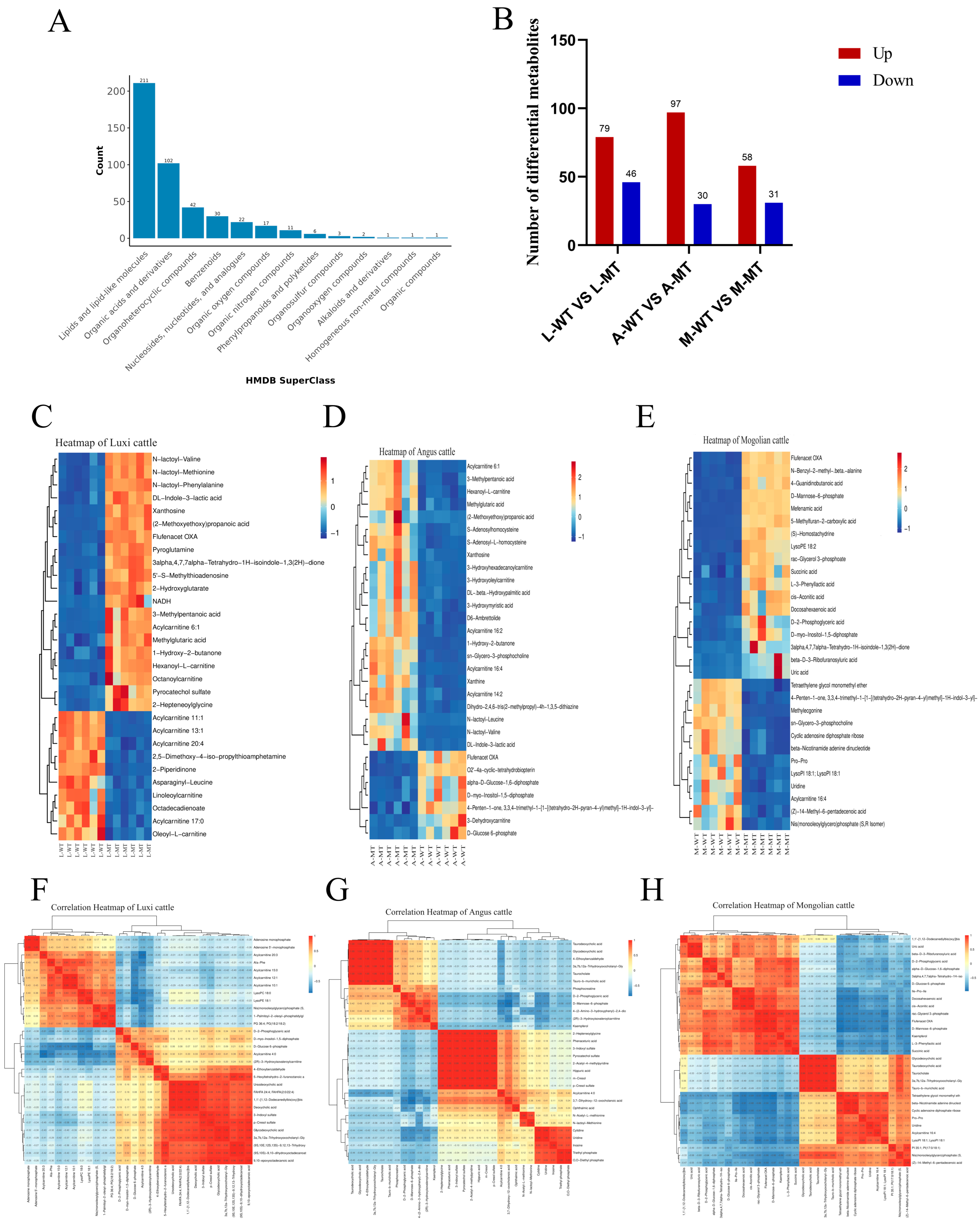 Animals 15 00047 g002