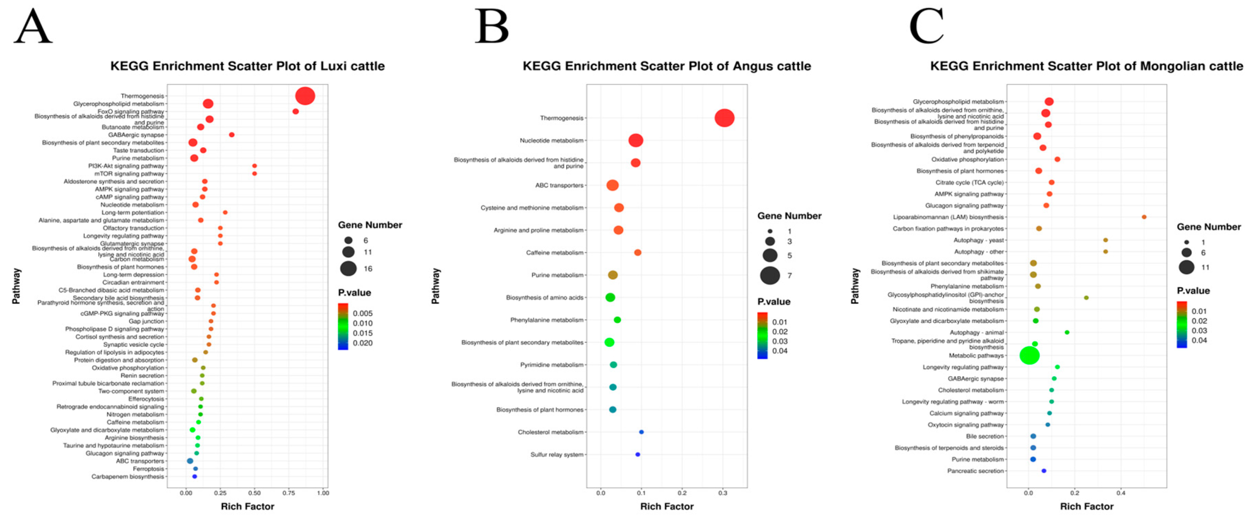 Animals 15 00047 g003
