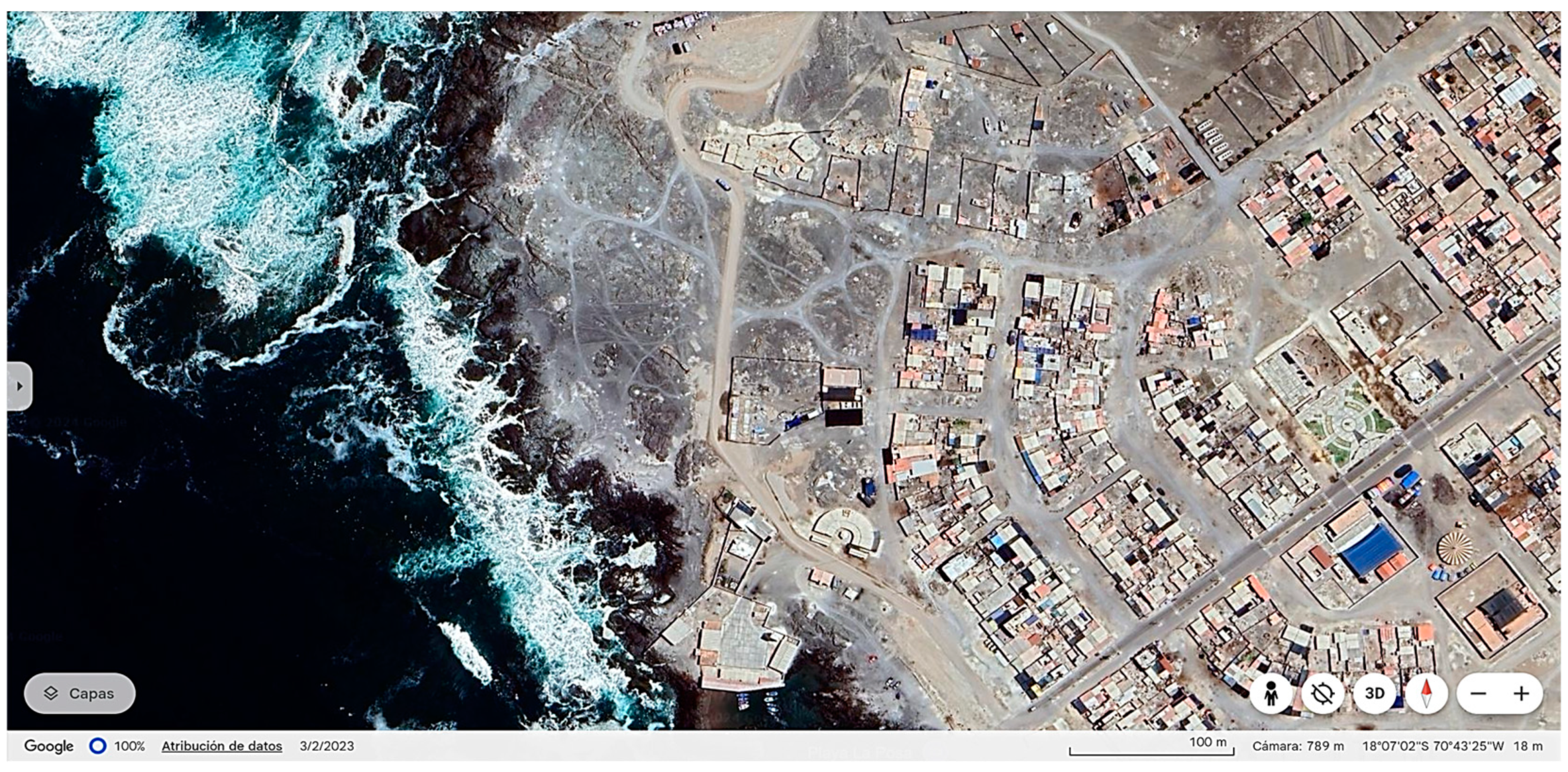 Animals 15 00048 g003