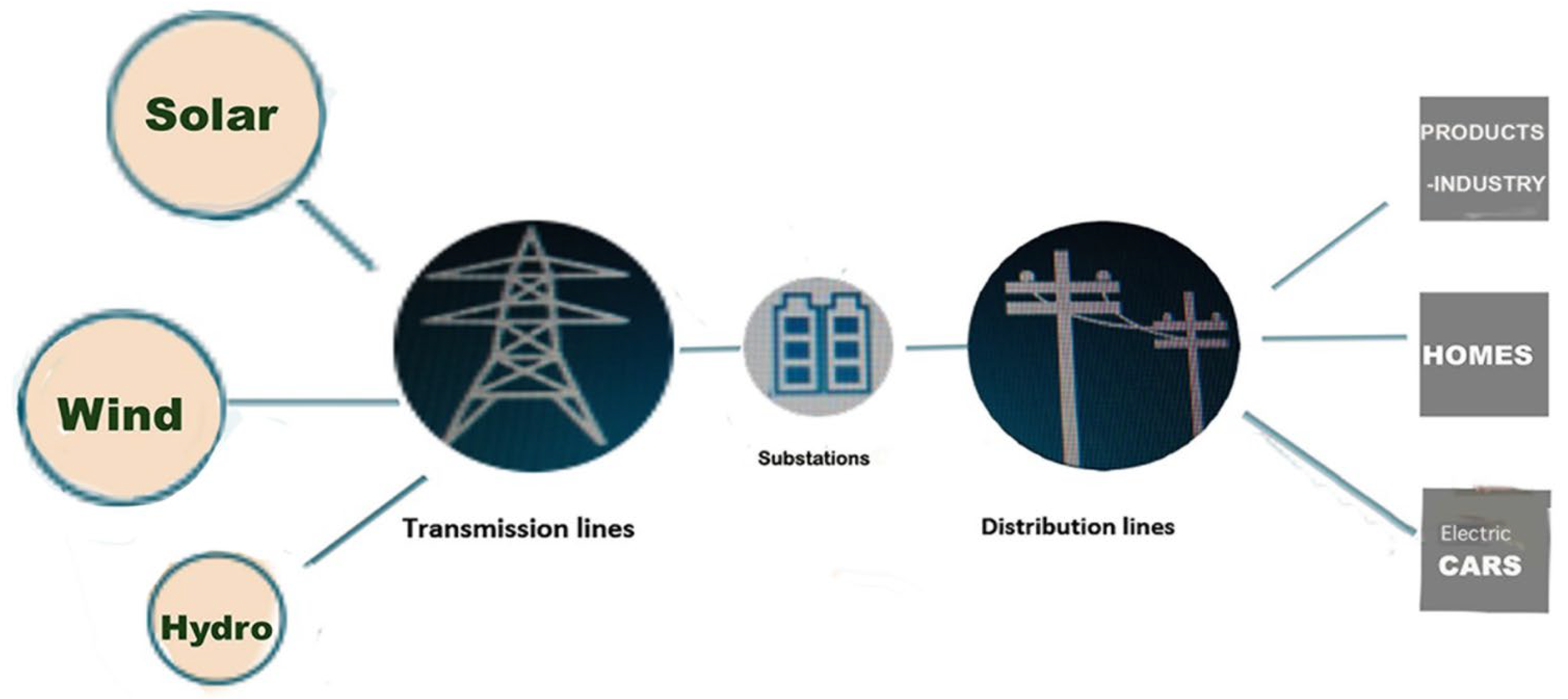 Animals 15 00073 g003 Animals 15 00073 g003