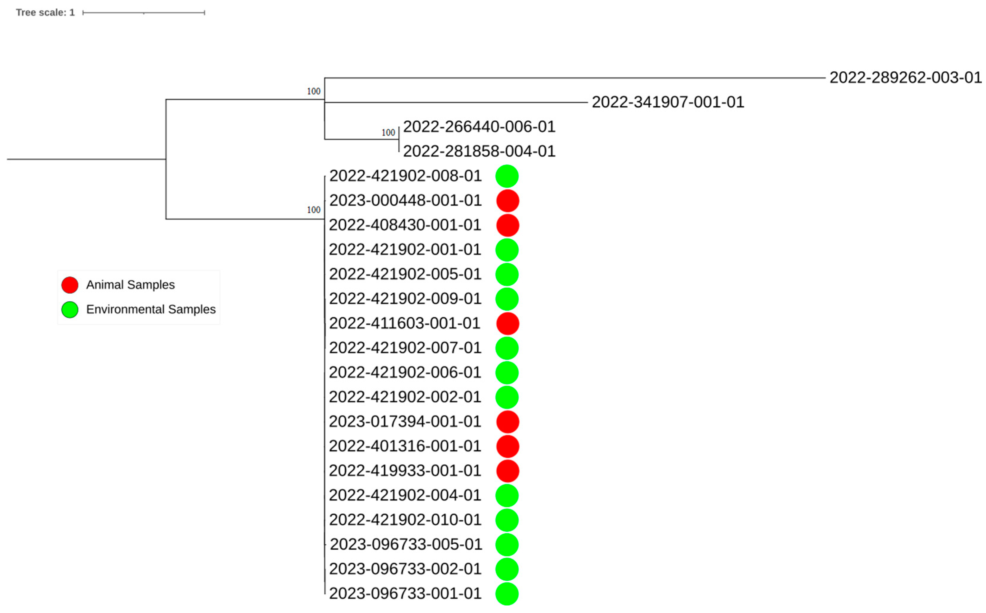 Animals 15 00079 g001