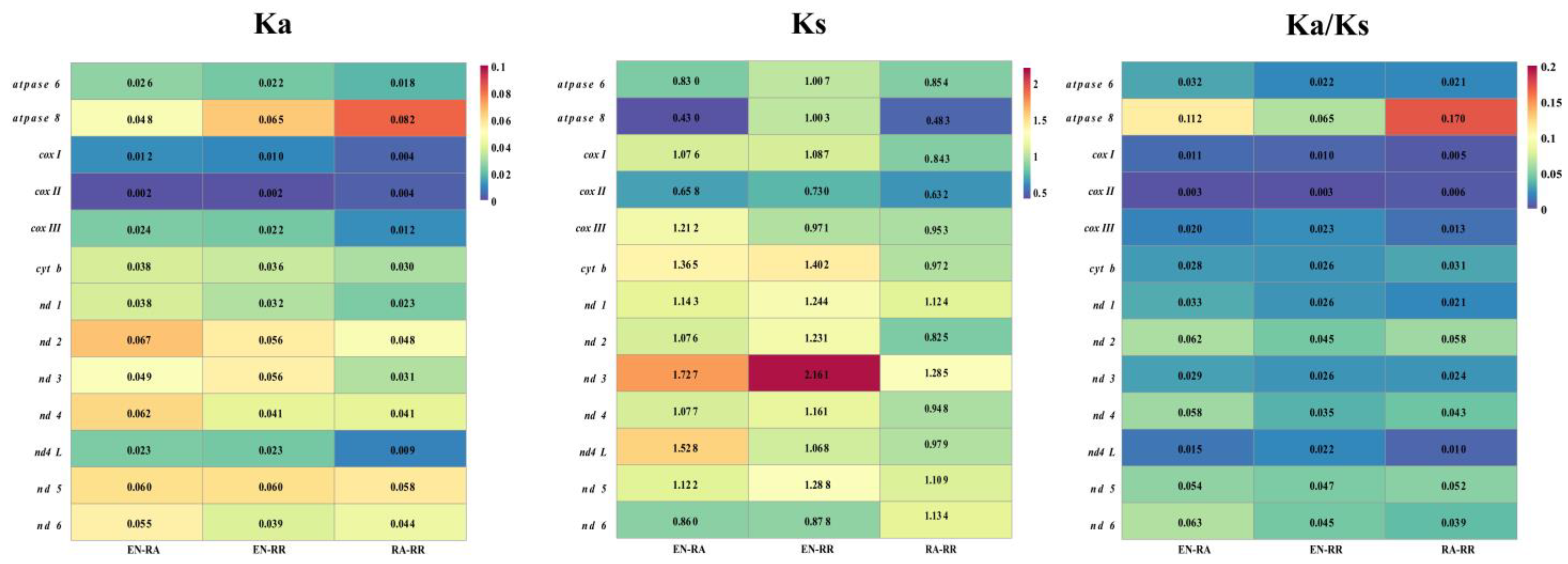 Animals 15 00081 g006