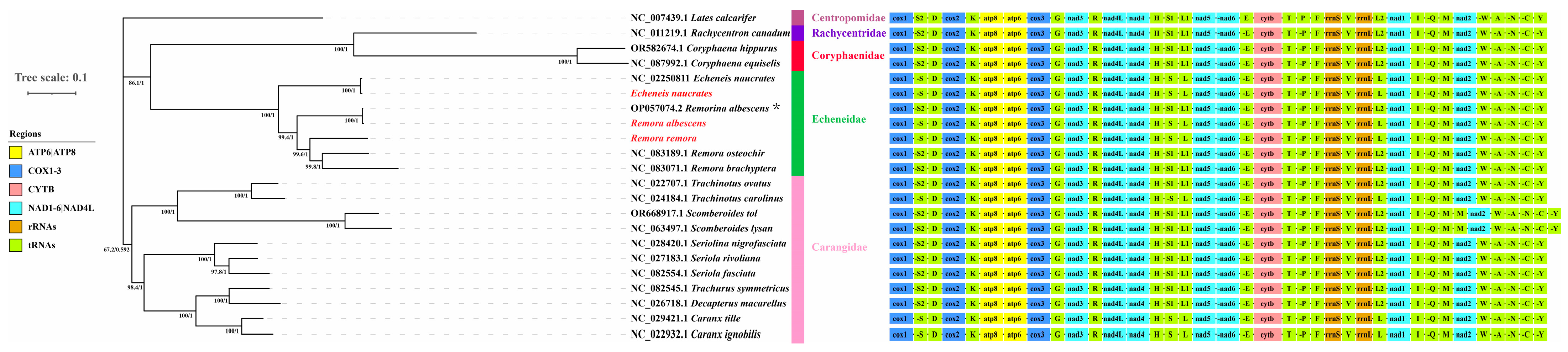 Animals 15 00081 g007