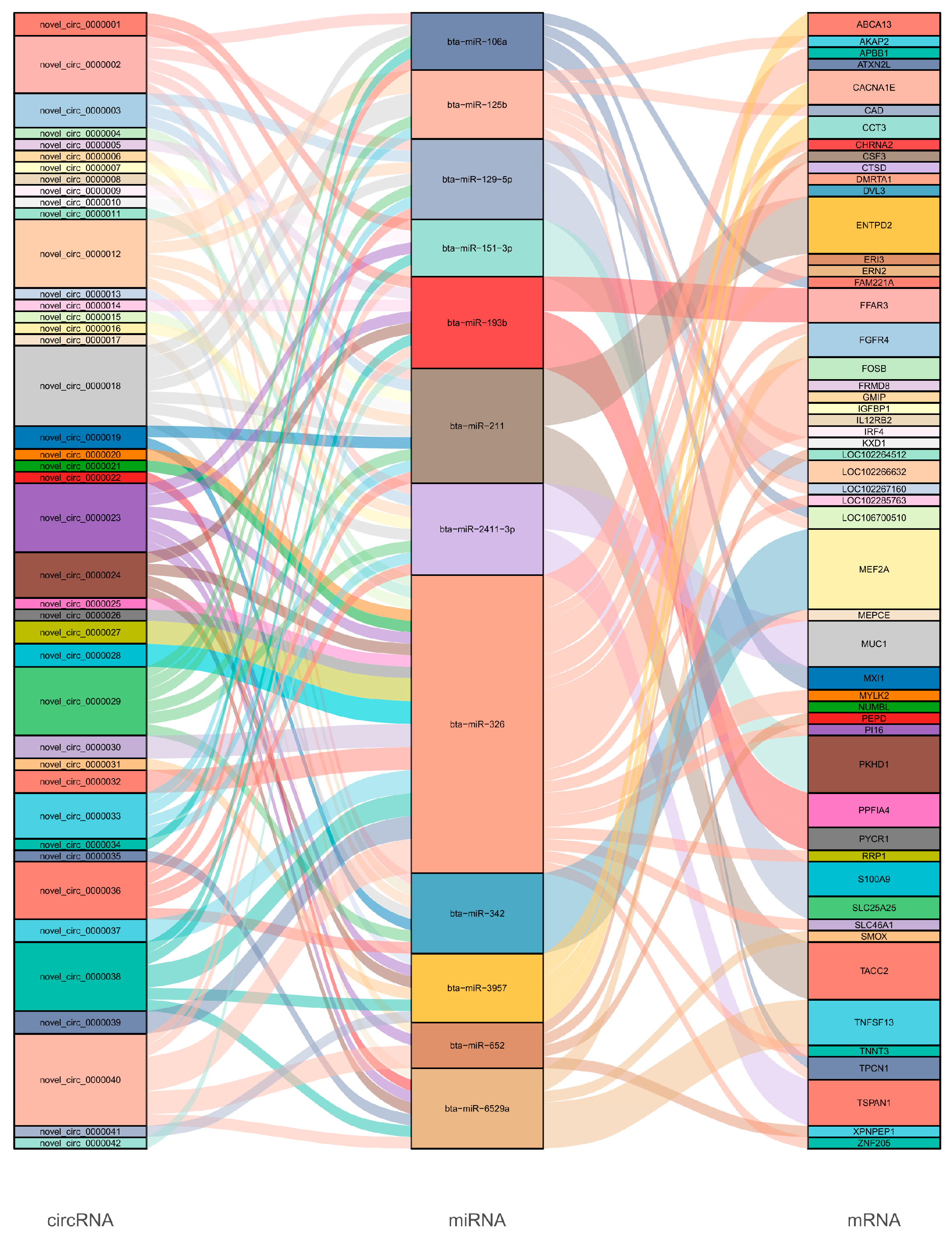 Animals 15 00089 g004