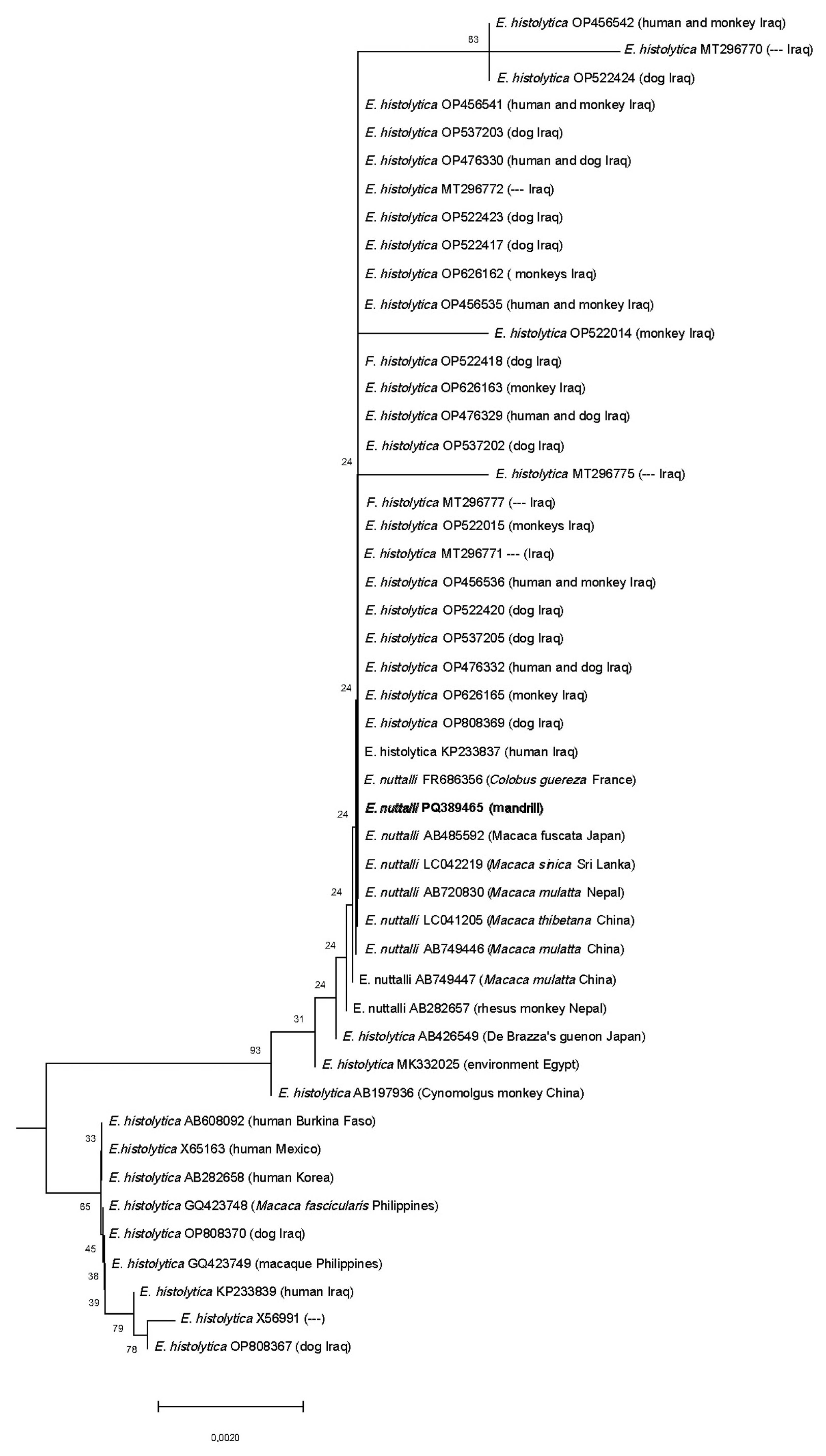 Animals 15 00090 g003