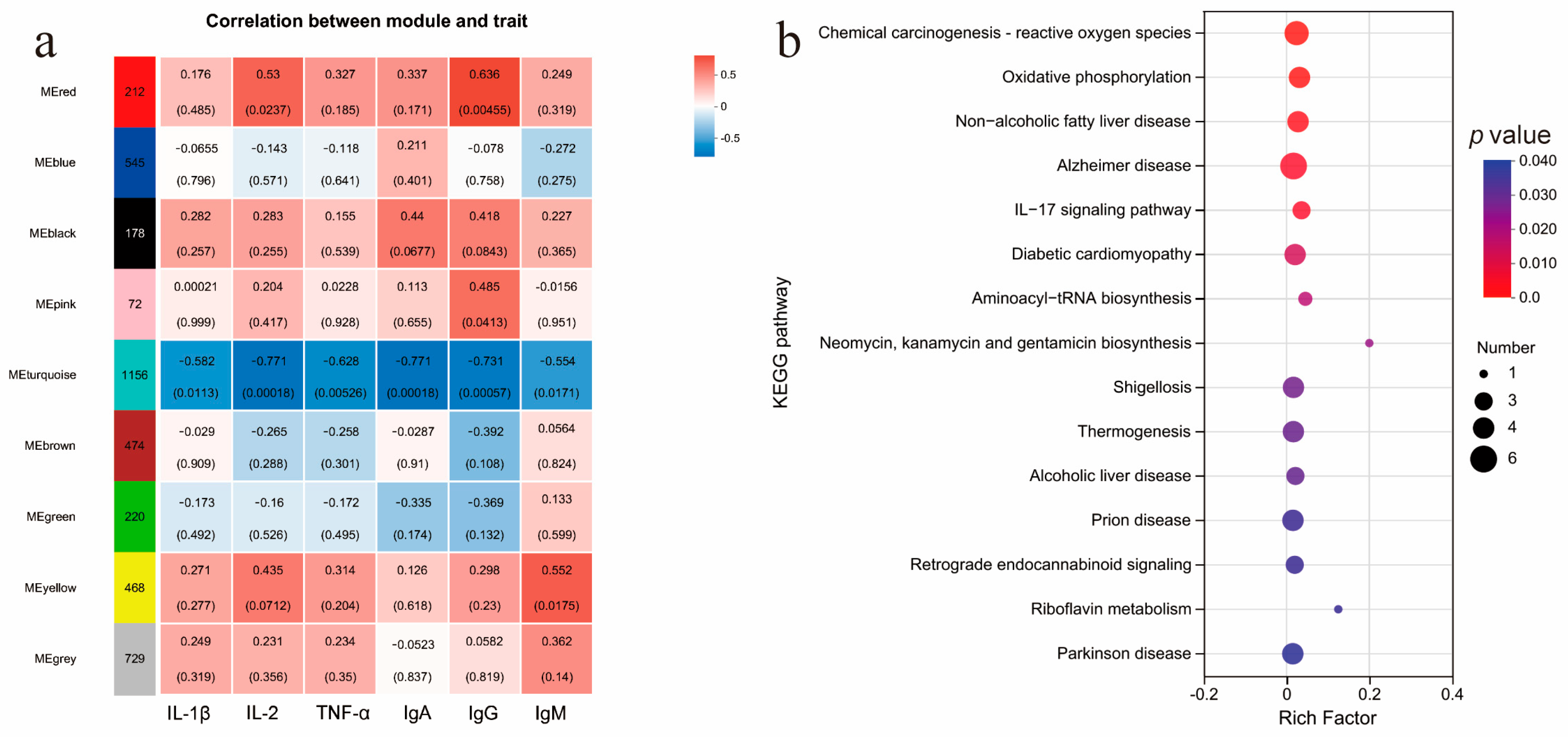 Animals 15 00094 g005