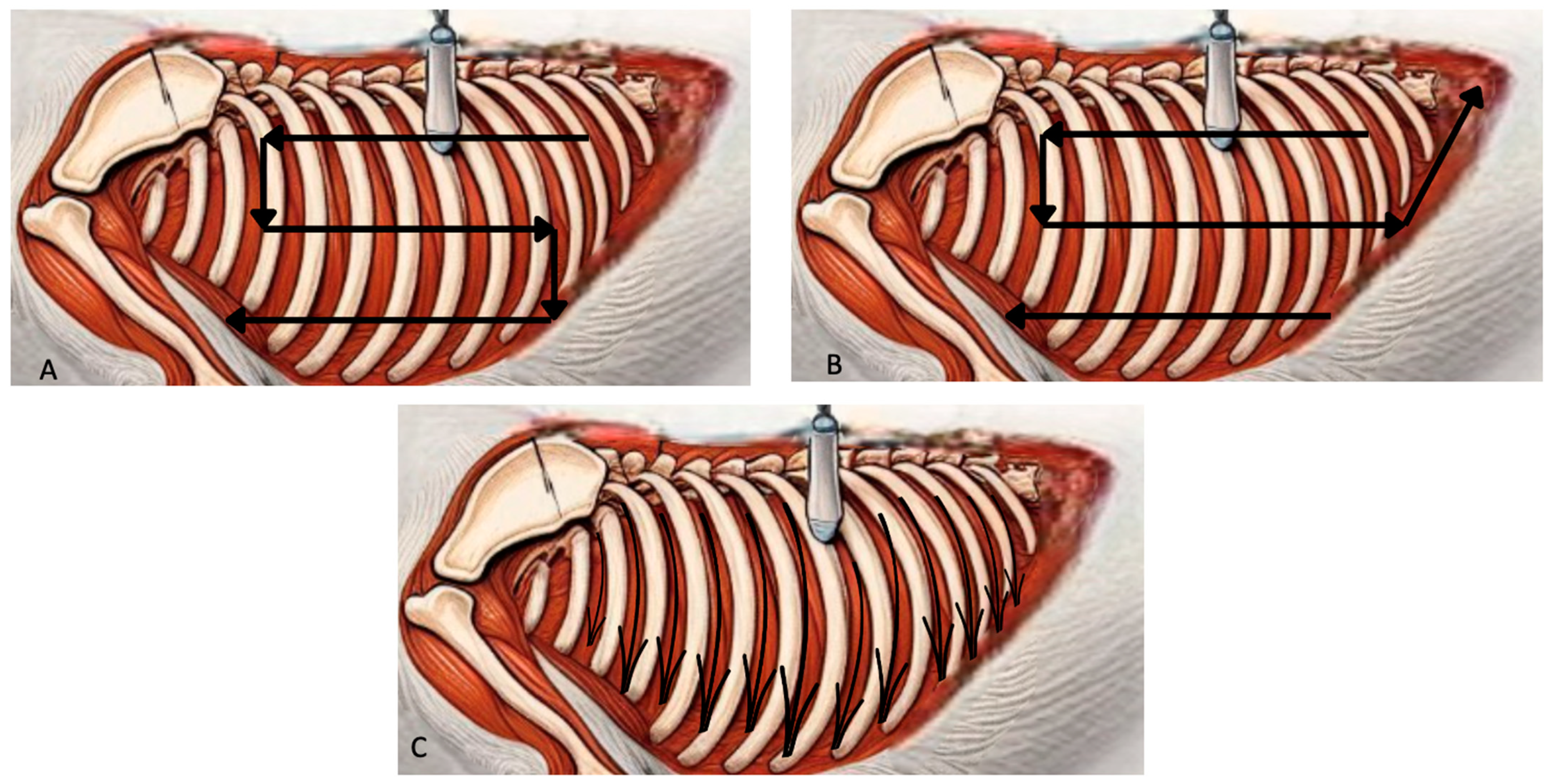 Animals 15 00106 g001 Animals 15 00106 g001