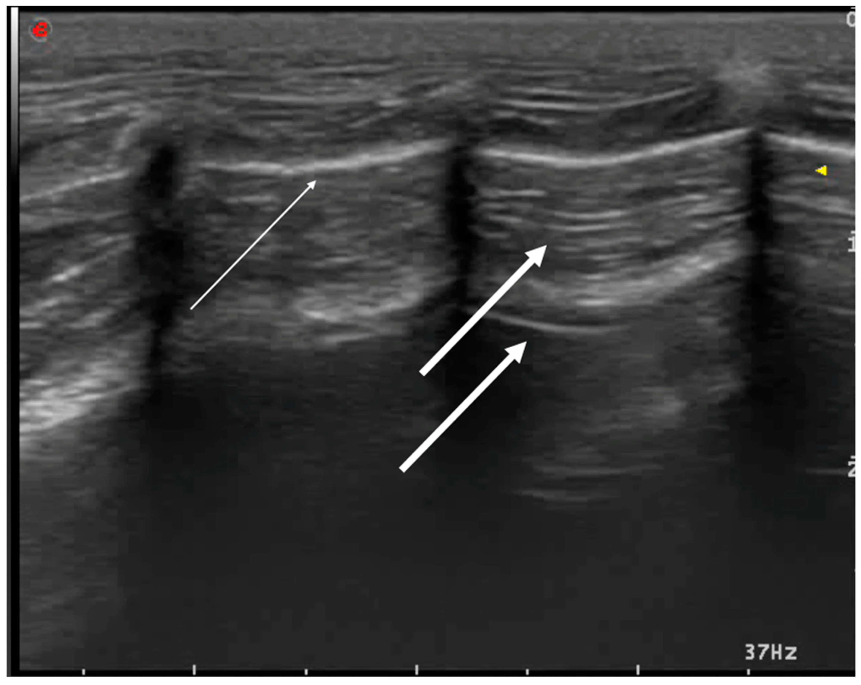 Animals 15 00106 g002 Animals 15 00106 g002