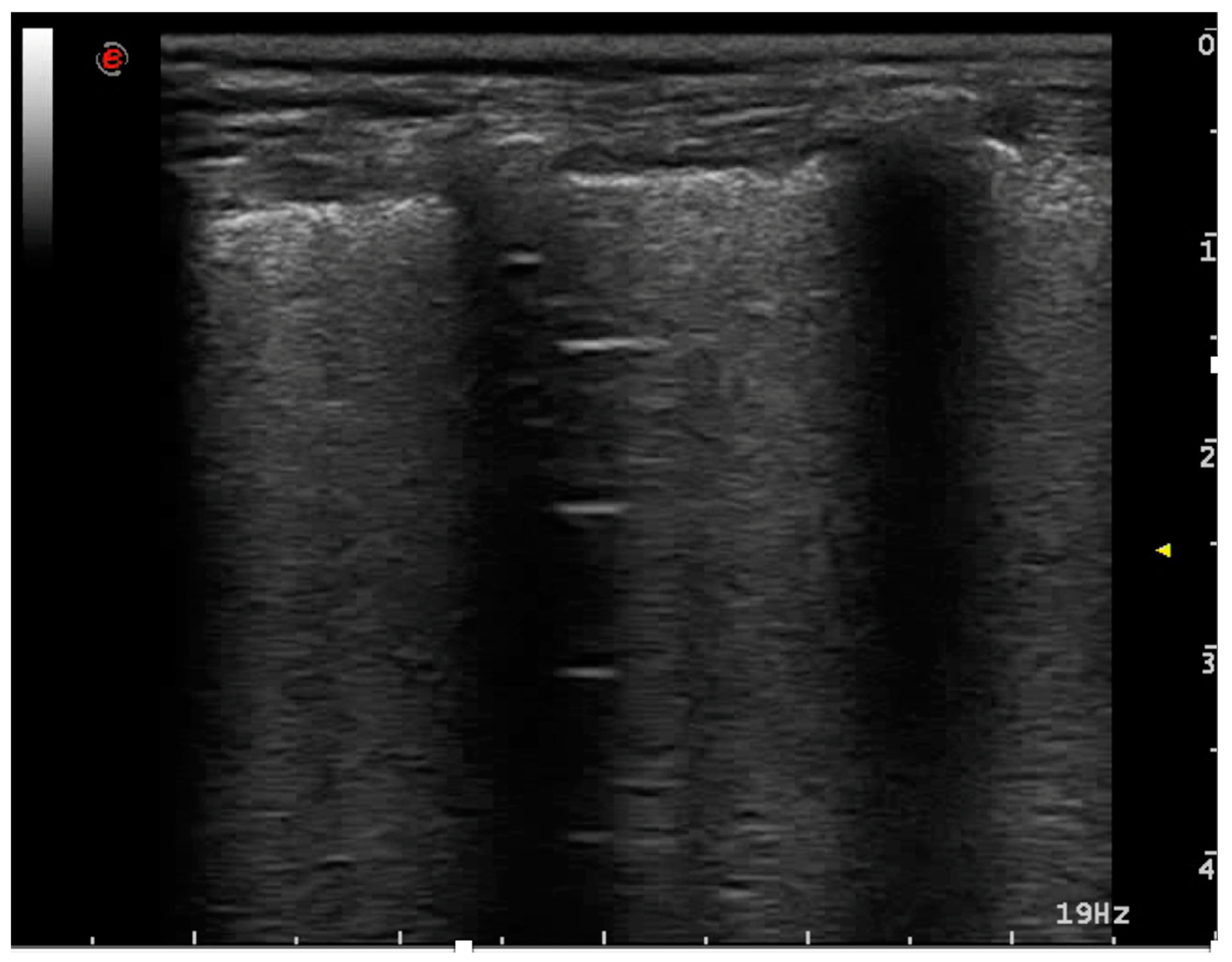 Animals 15 00106 g006 Animals 15 00106 g006