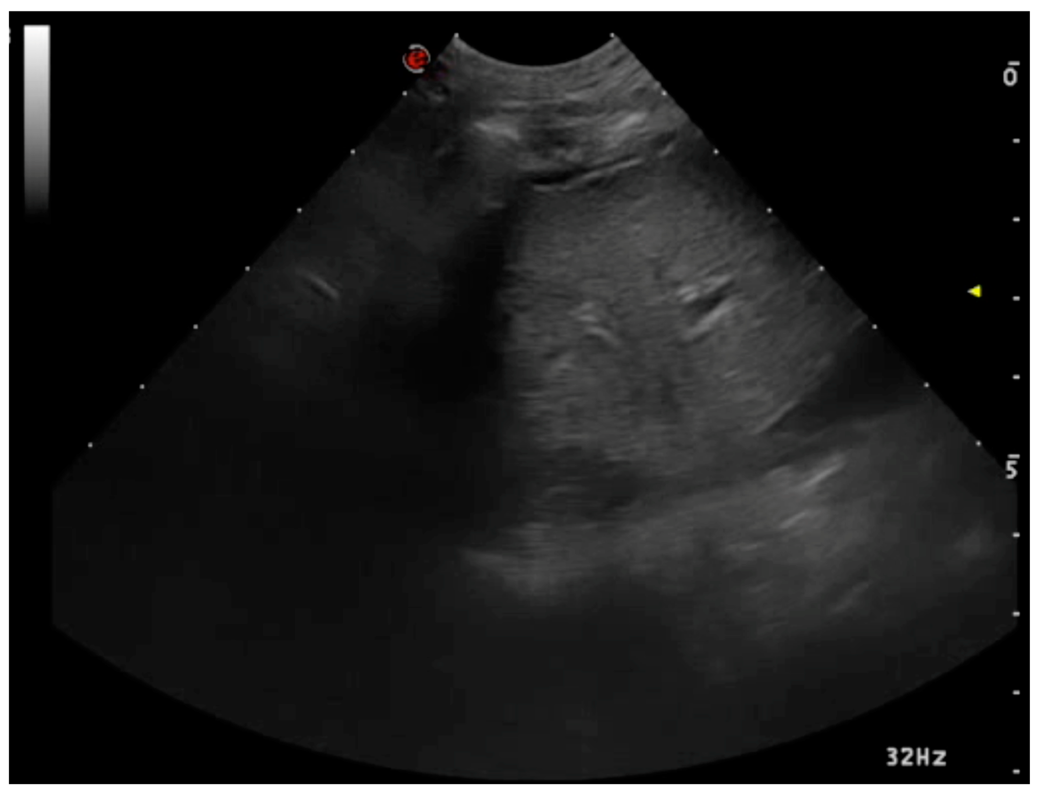 Animals 15 00106 g008 Animals 15 00106 g008