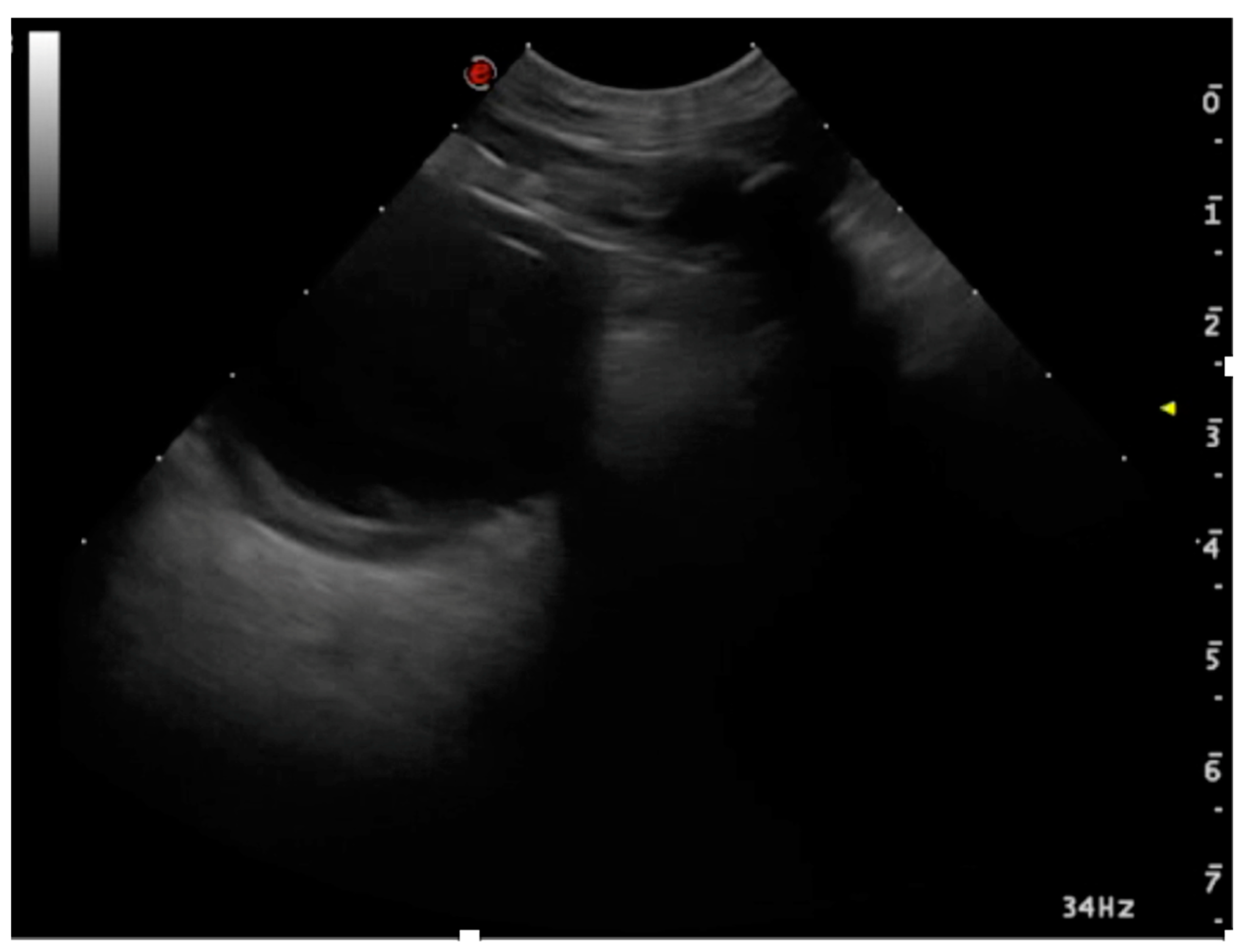 Animals 15 00106 g010 Animals 15 00106 g010