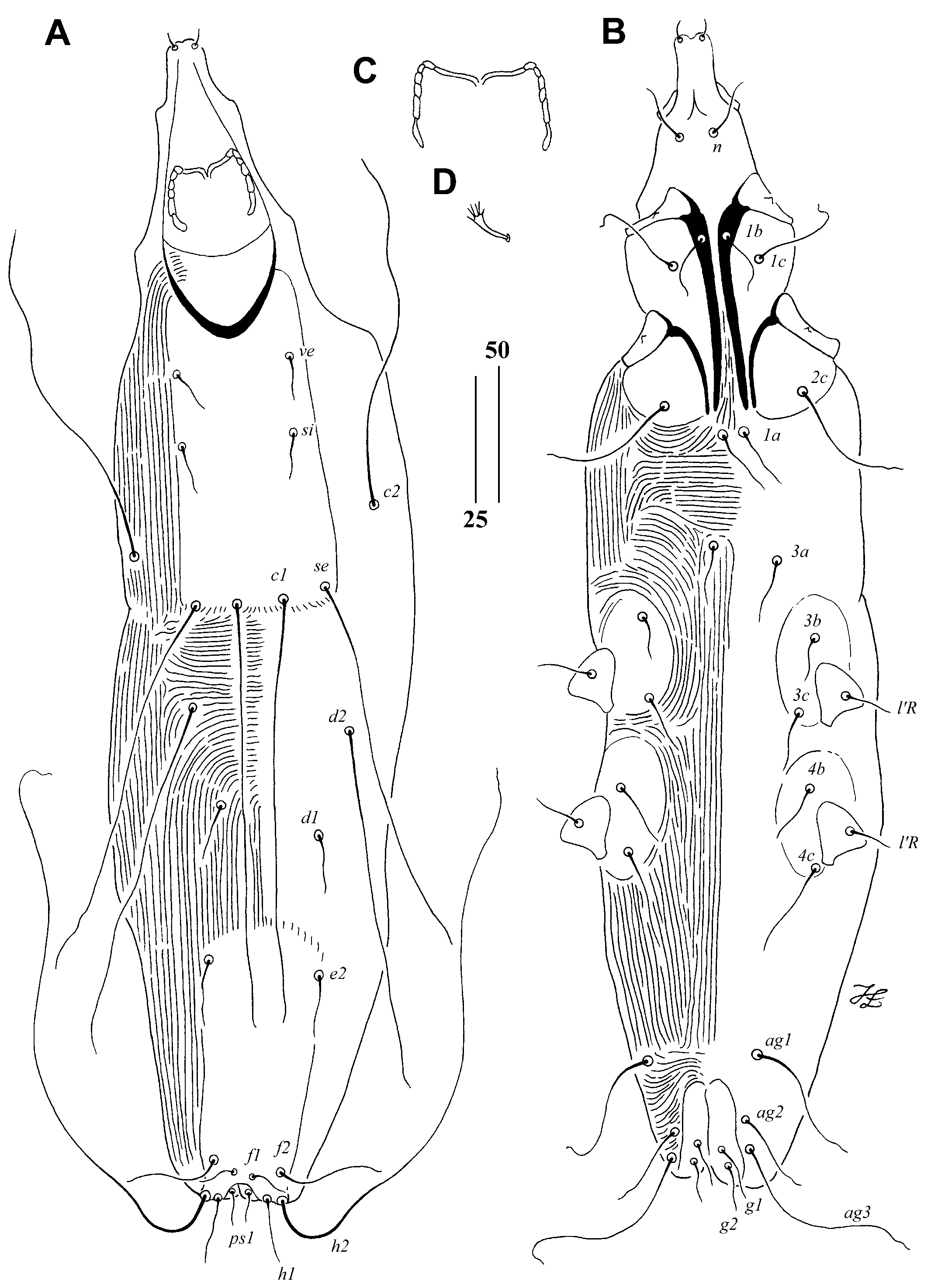 Animals 15 00110 g002 Animals 15 00110 g002