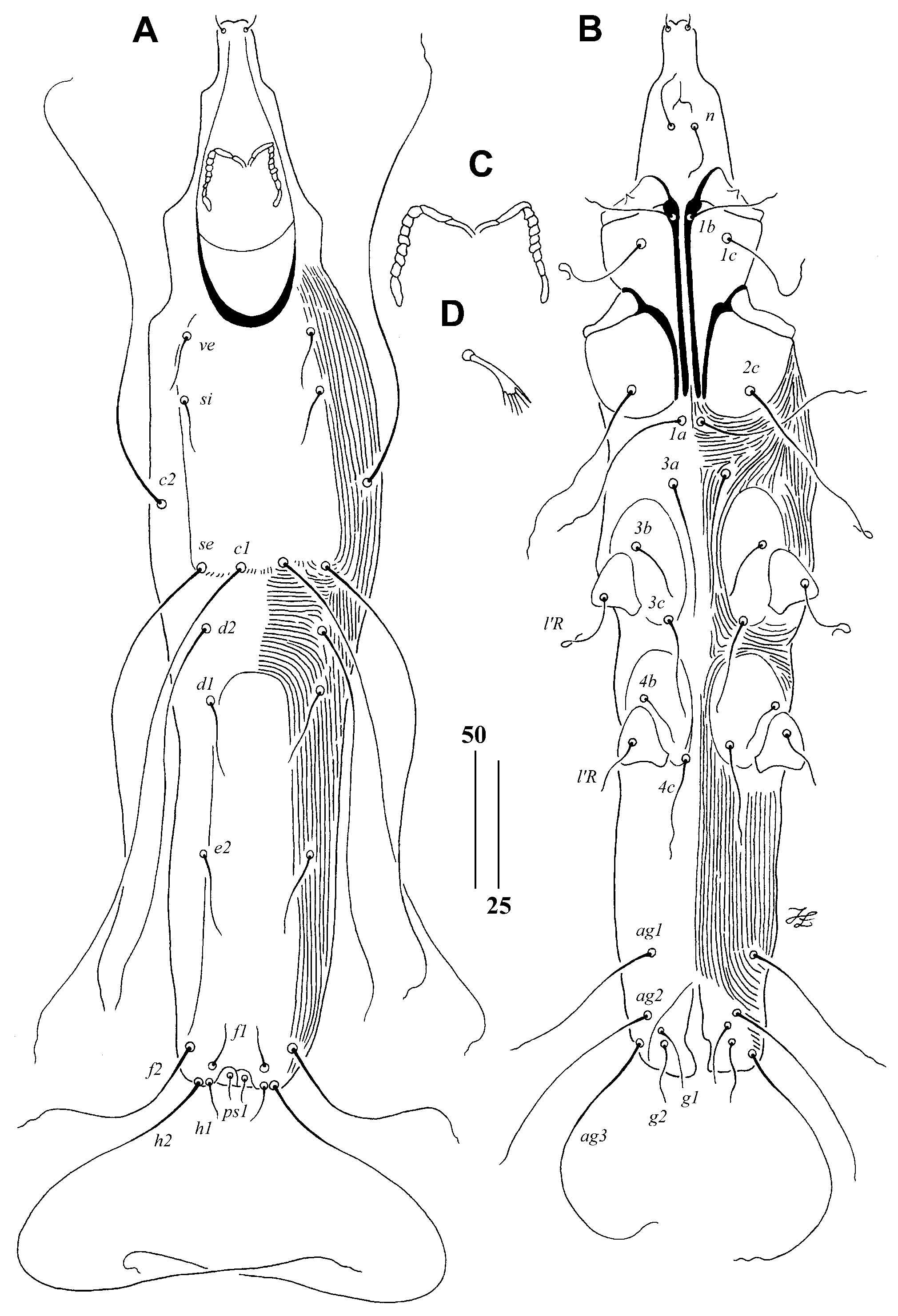 Animals 15 00110 g003 Animals 15 00110 g003