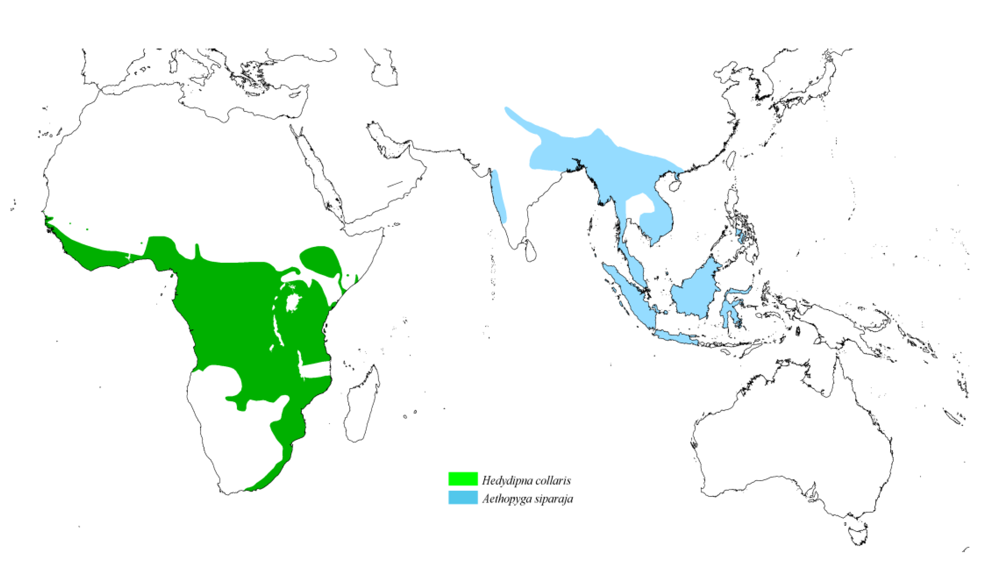 Animals 15 00110 g008 Animals 15 00110 g008