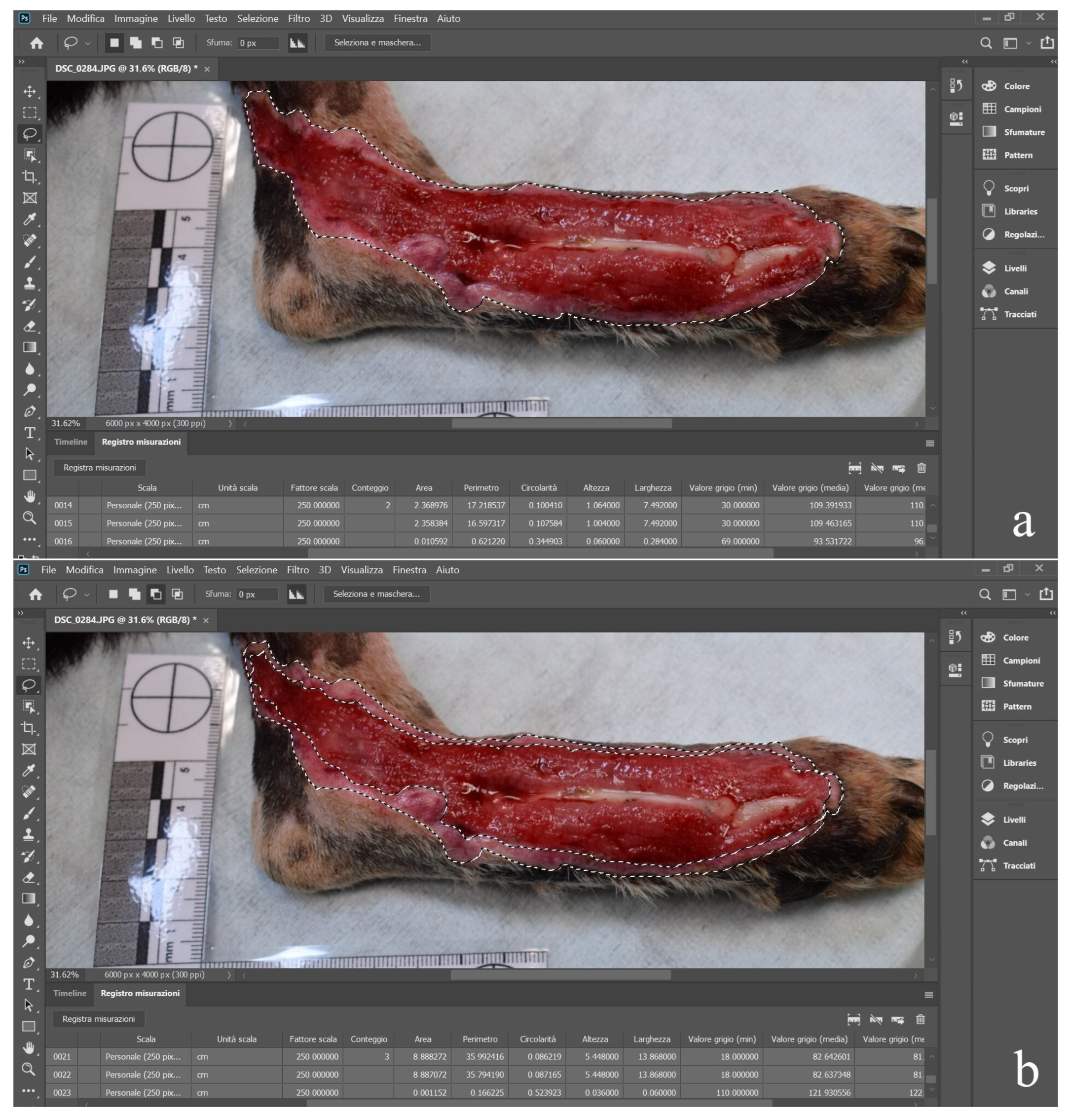 Animals 15 00112 g001