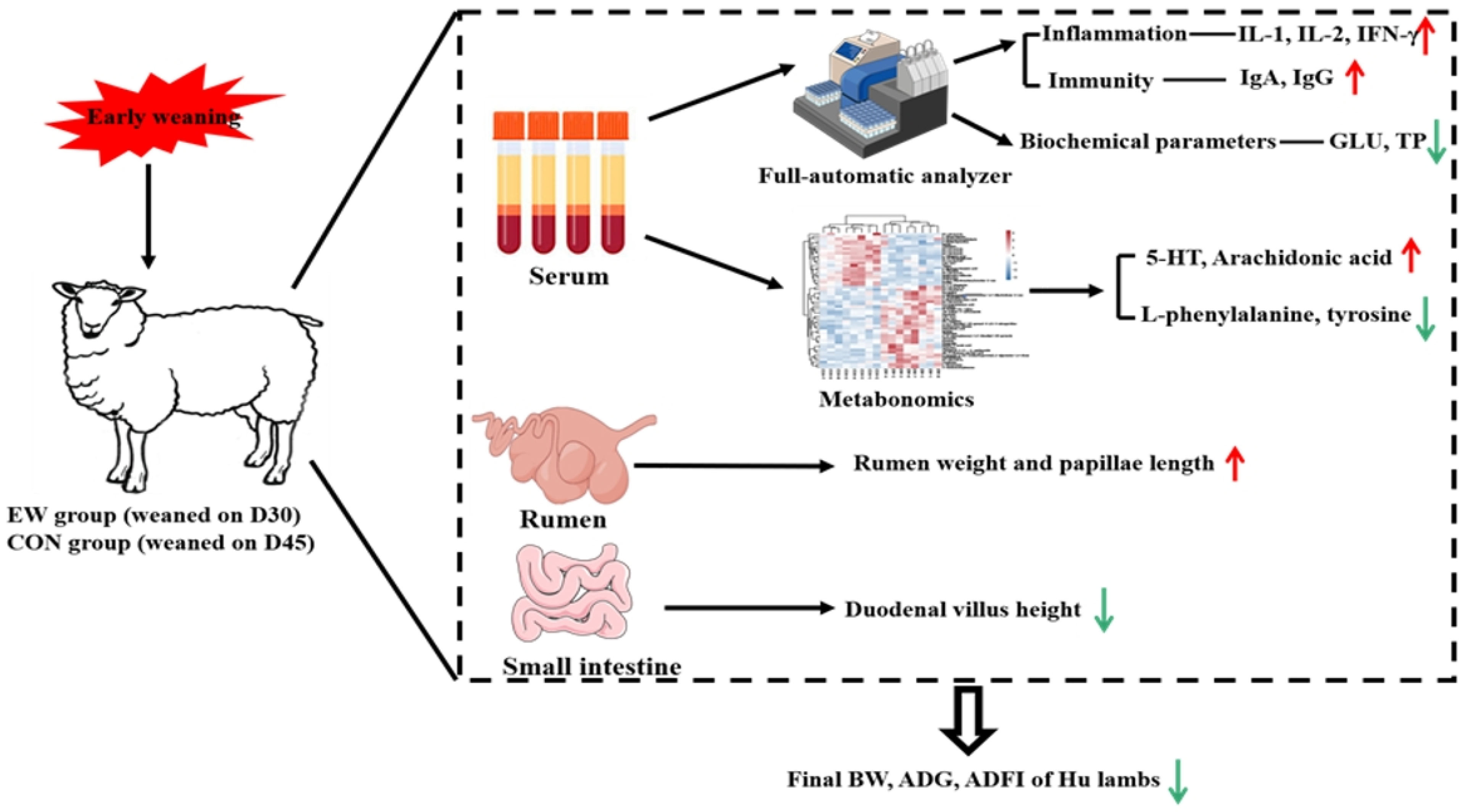 Animals 15 00113 g004