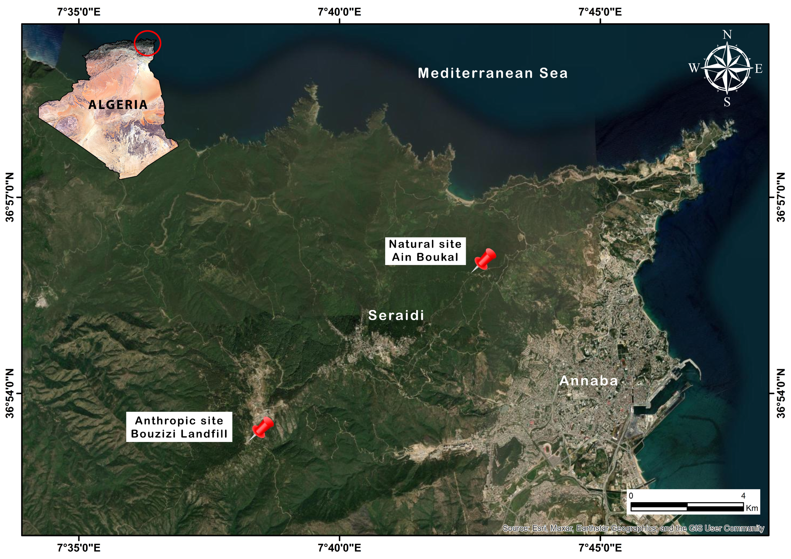 Animals 15 00114 g001