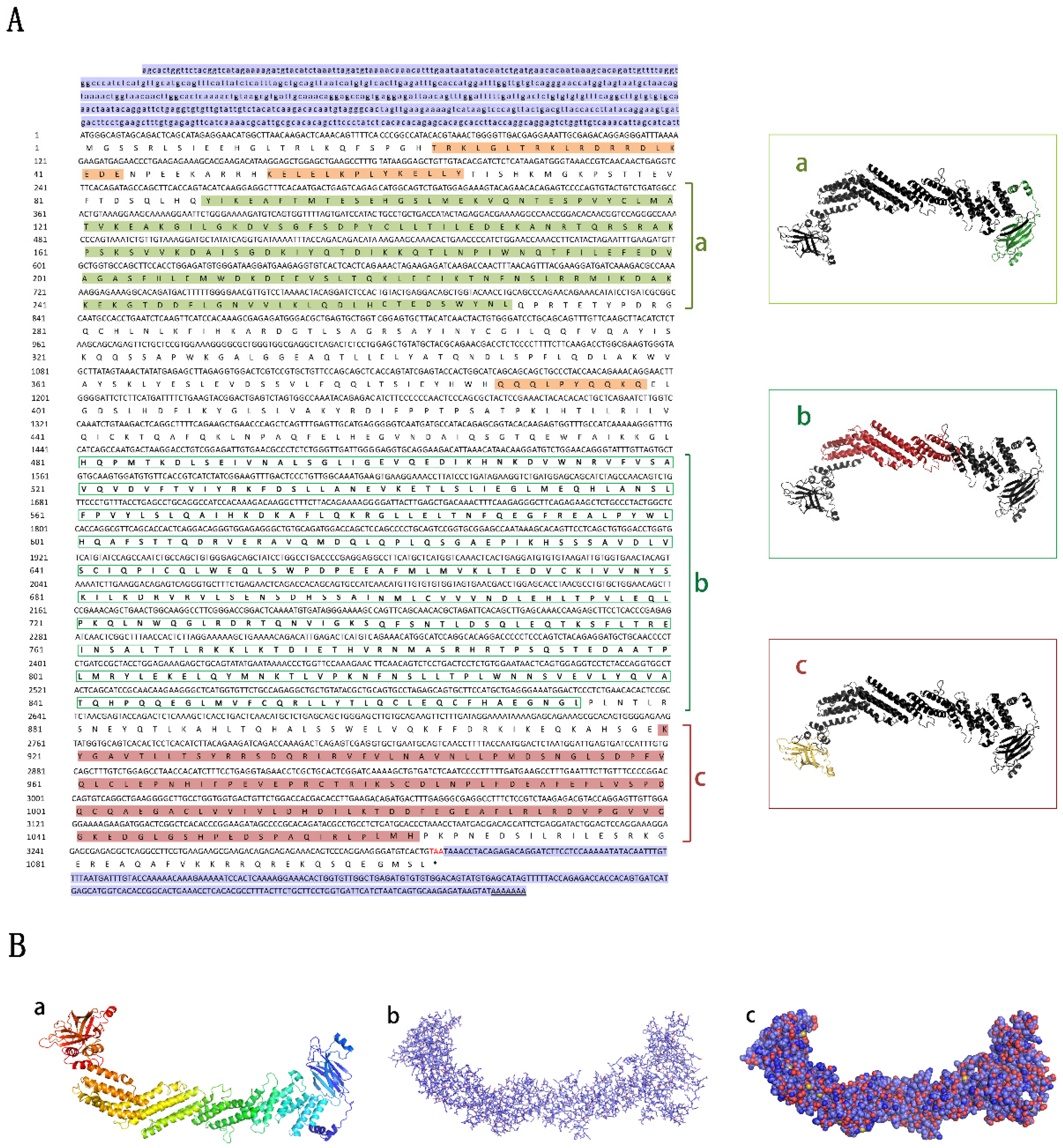Animals 15 00122 g001