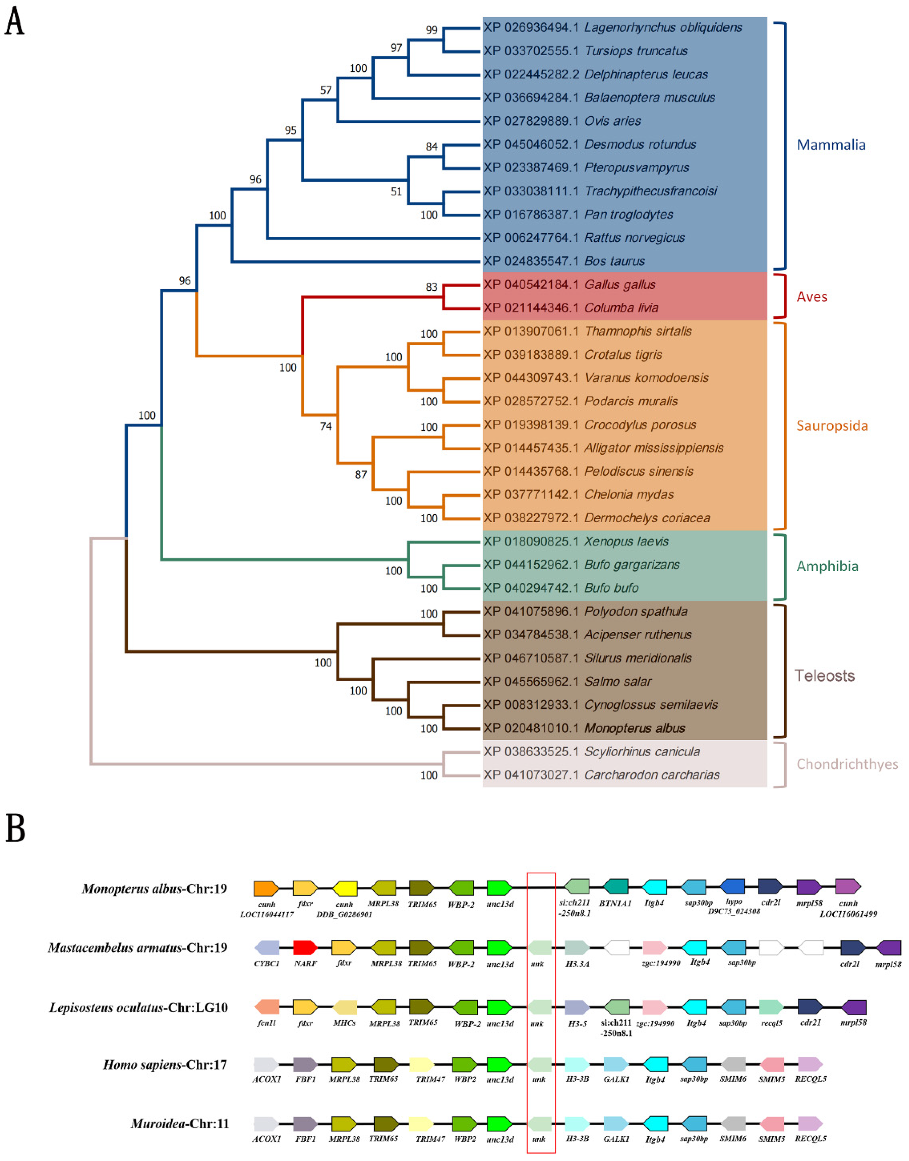 Animals 15 00122 g002