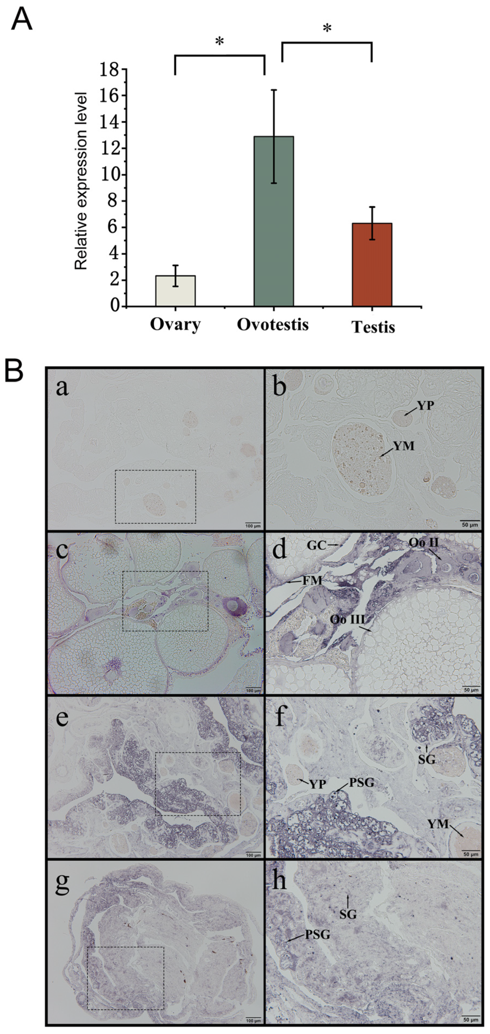Animals 15 00122 g003