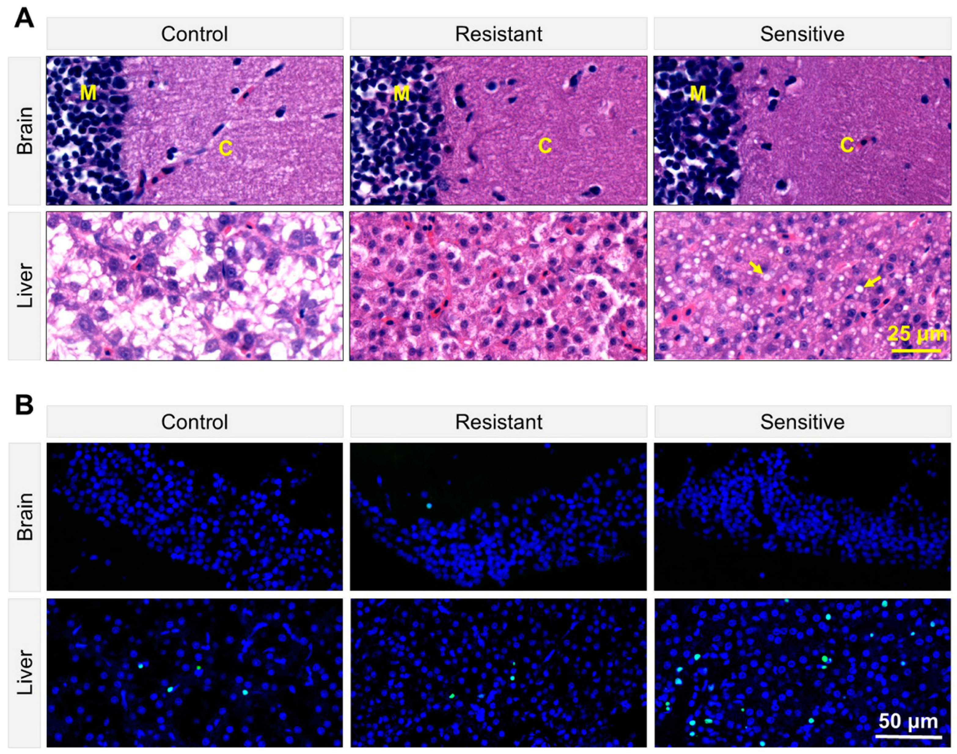 Animals 15 00128 g004