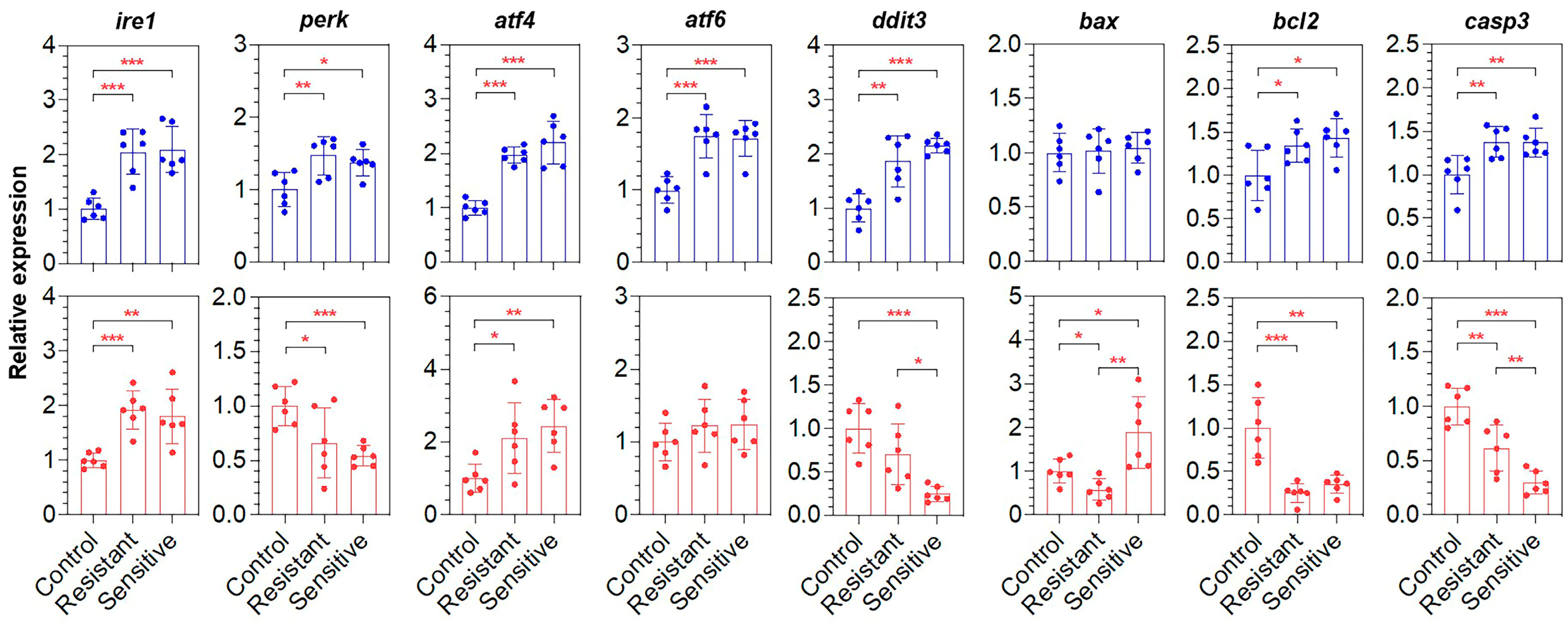 Animals 15 00128 g005