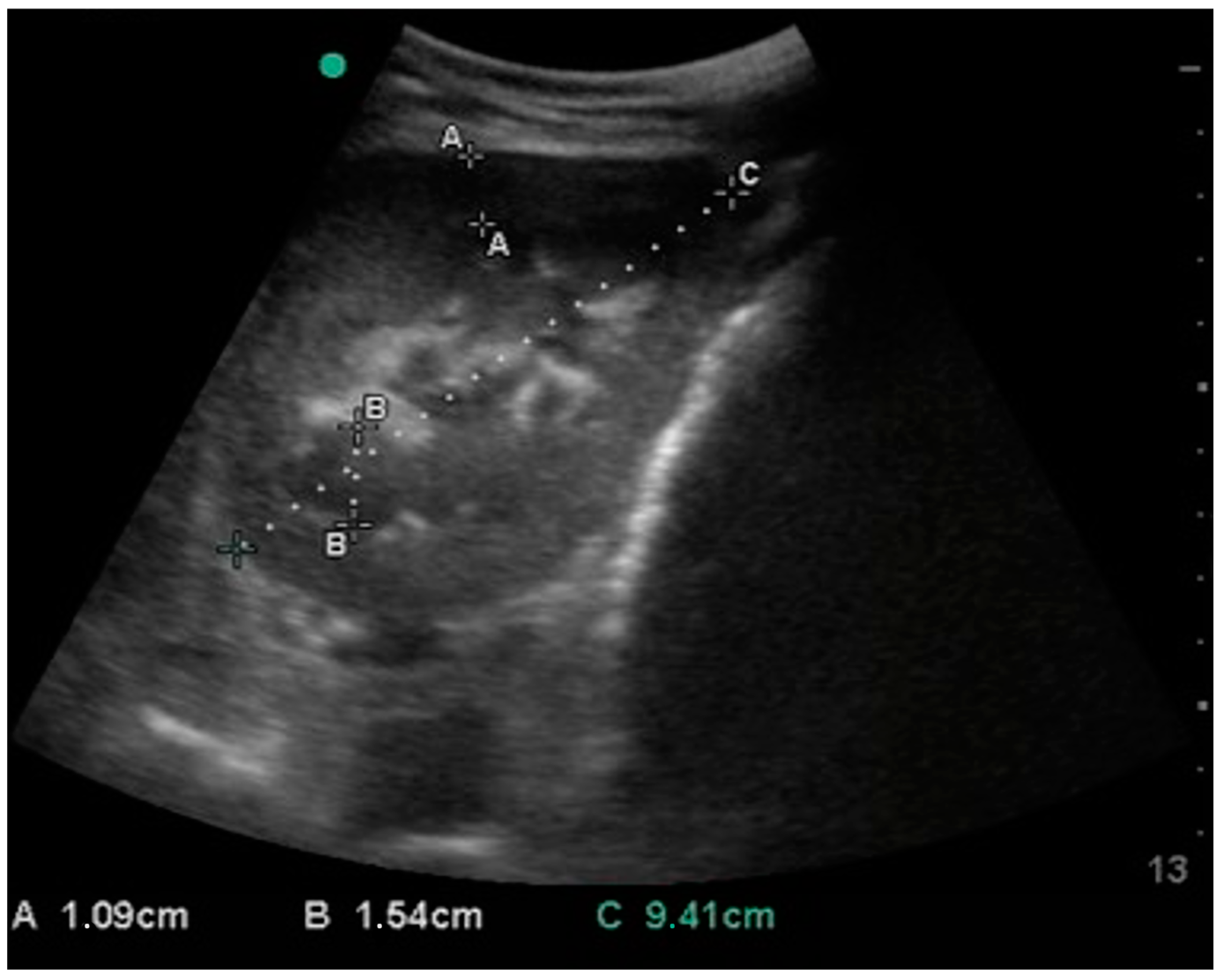 Animals 15 00129 g002