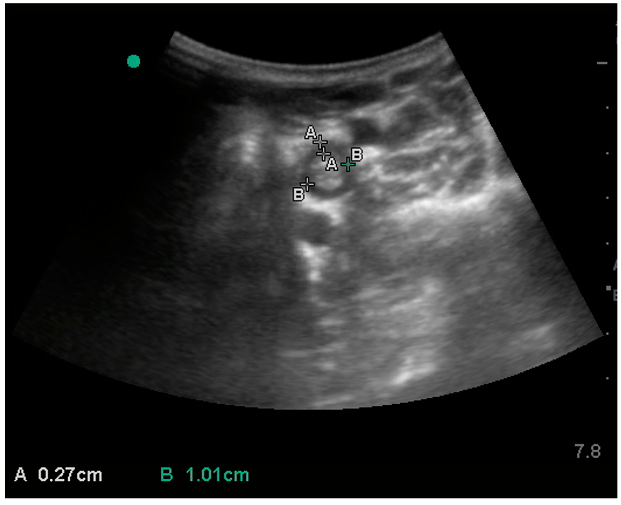 Animals 15 00129 g003