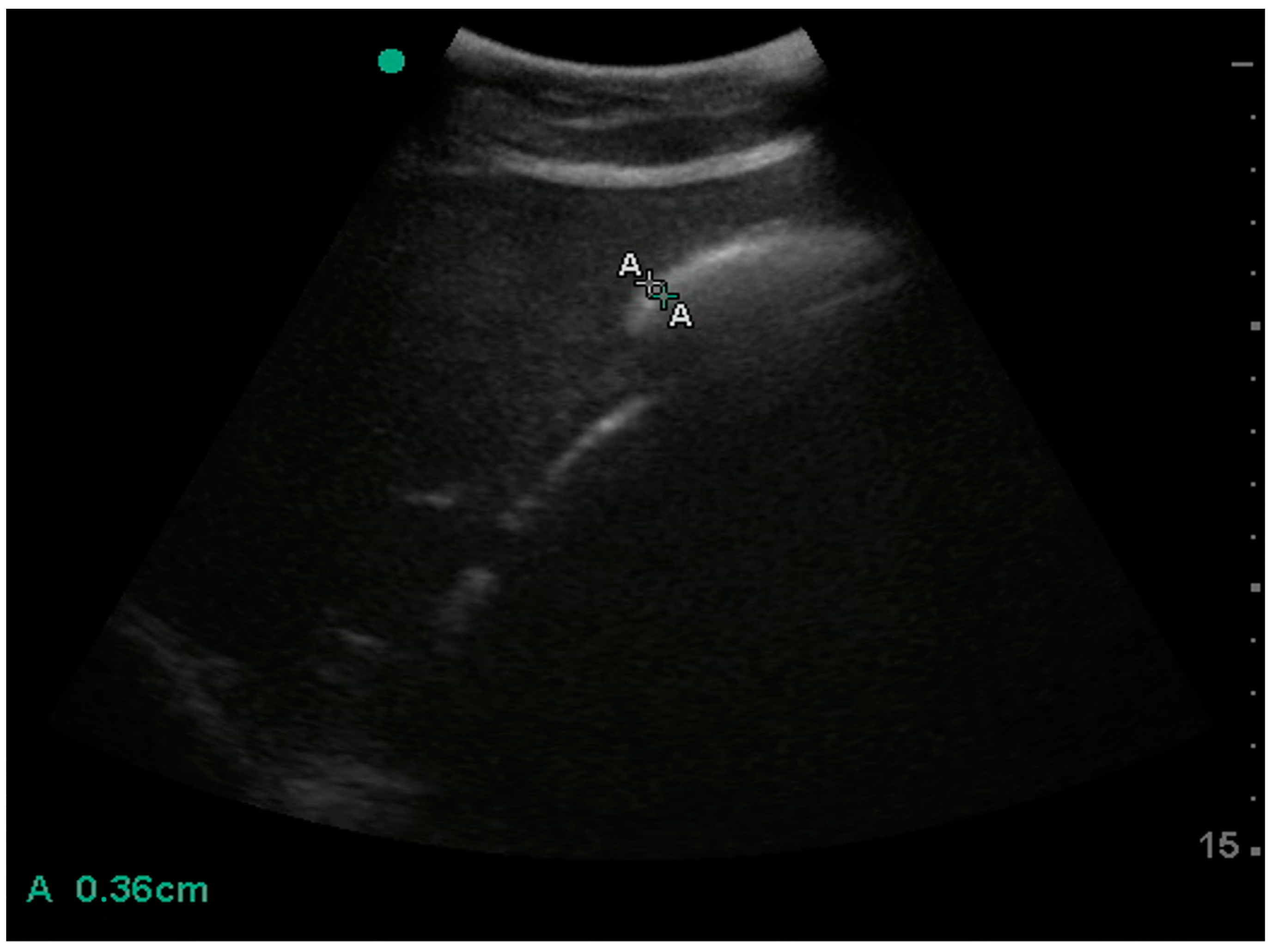 Animals 15 00129 g004