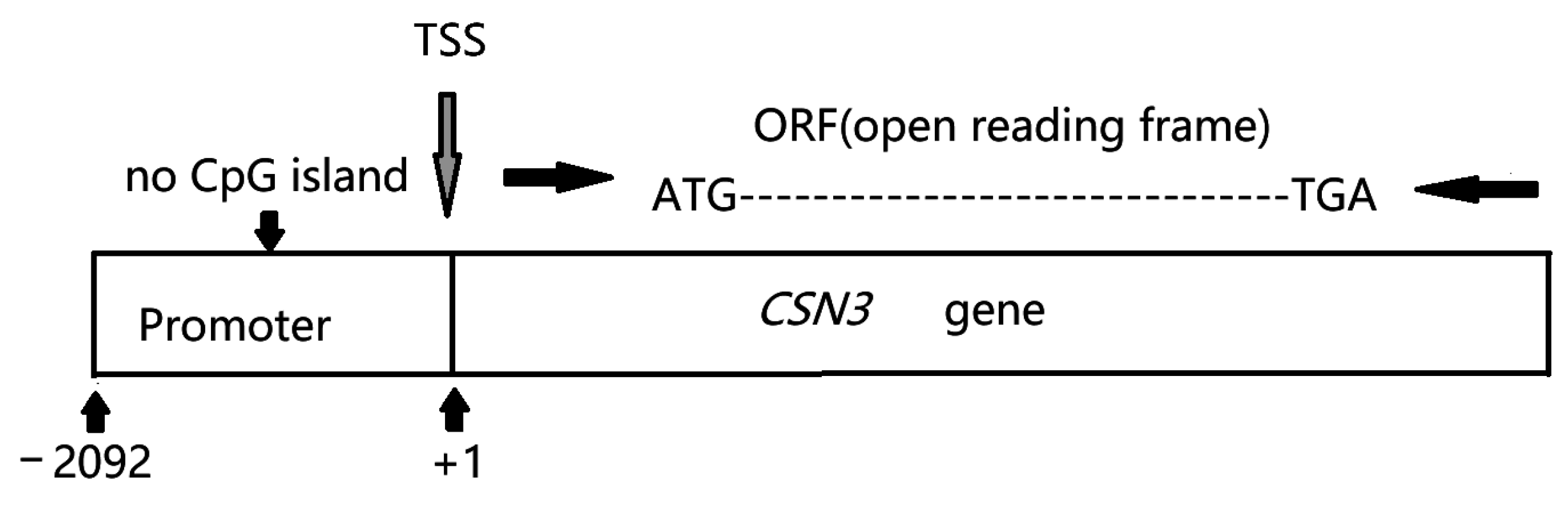 Animals 15 00134 g001