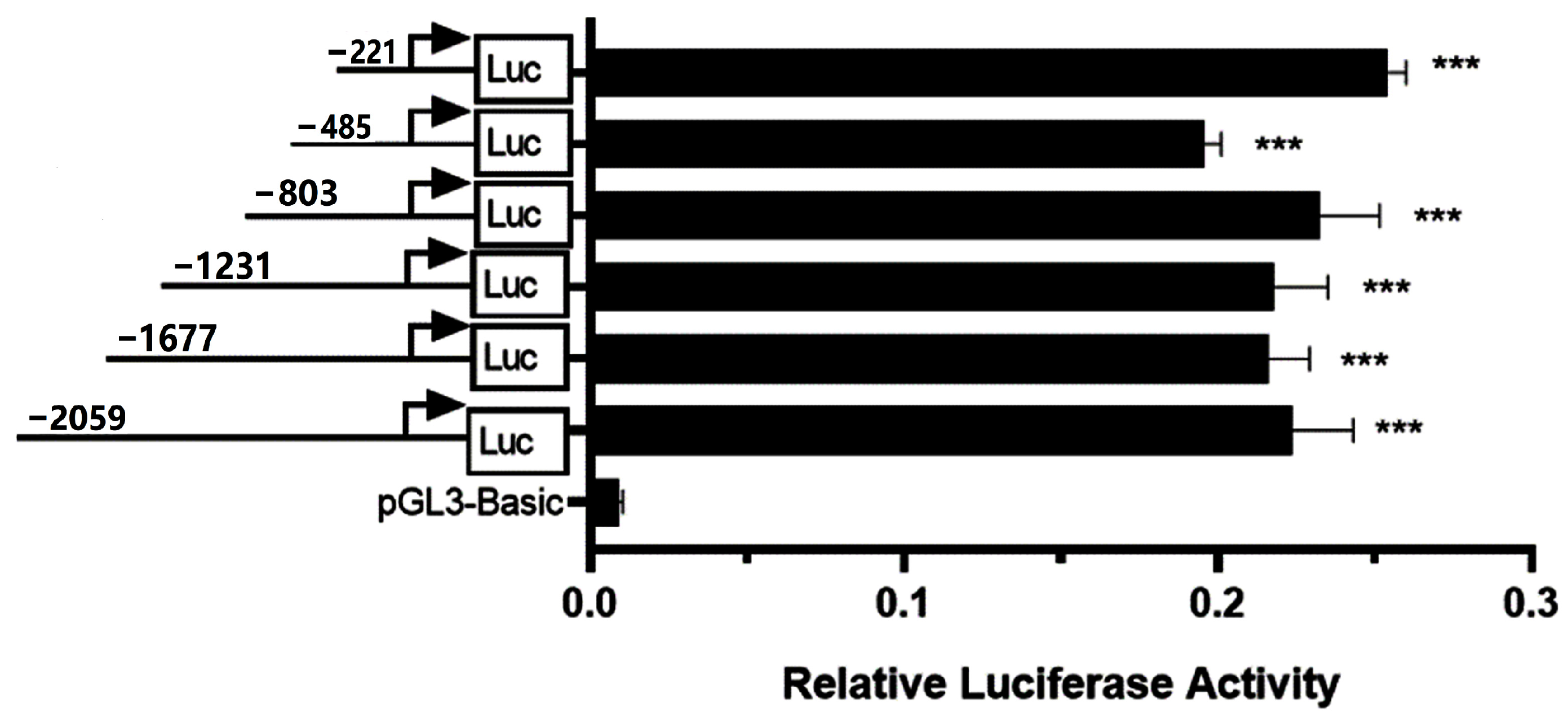 Animals 15 00134 g002