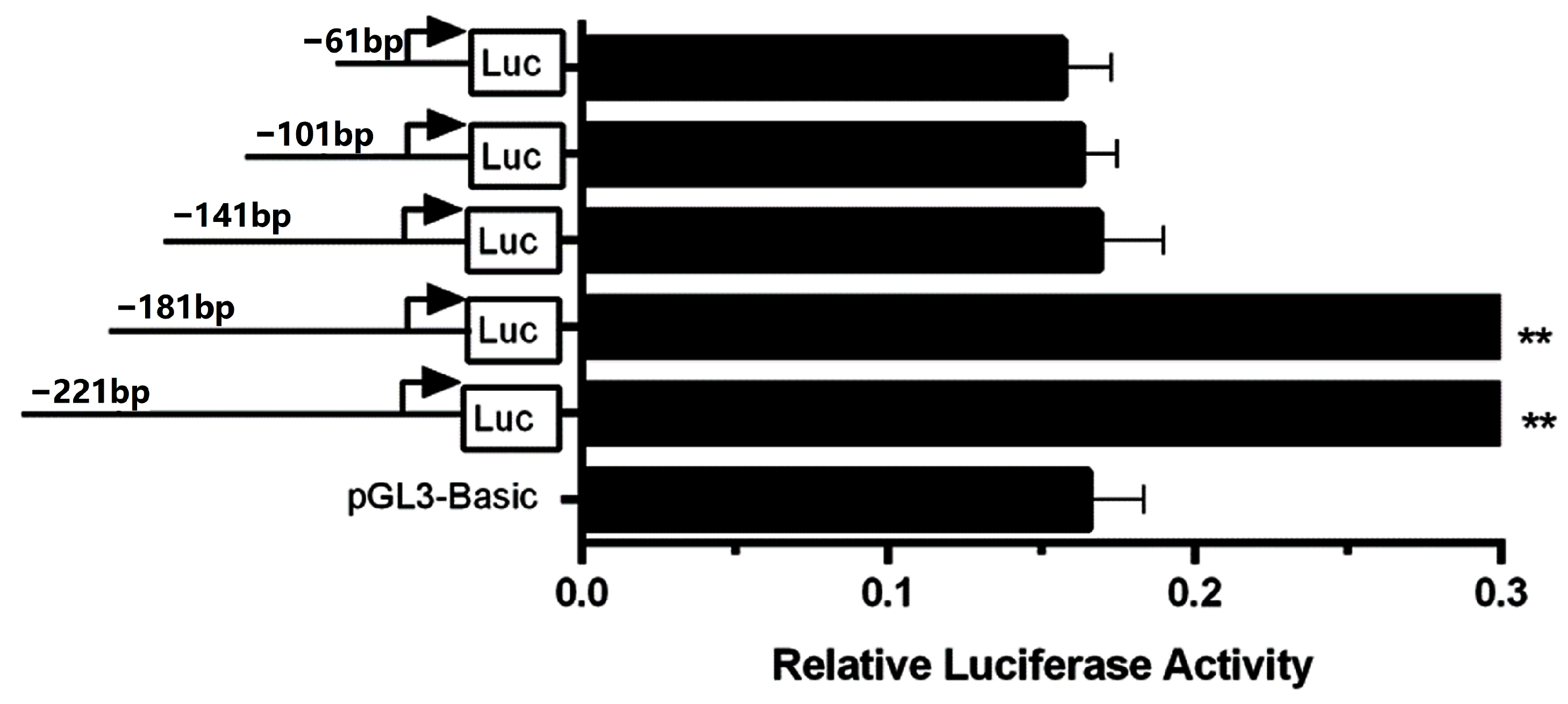 Animals 15 00134 g003
