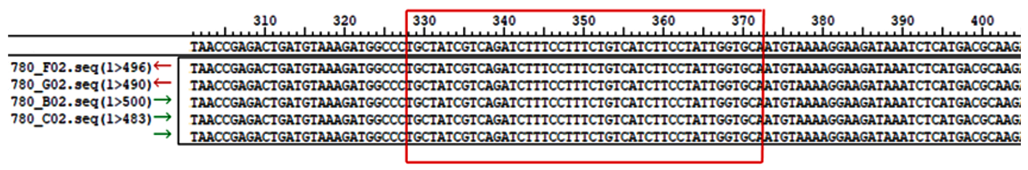Animals 15 00134 g004