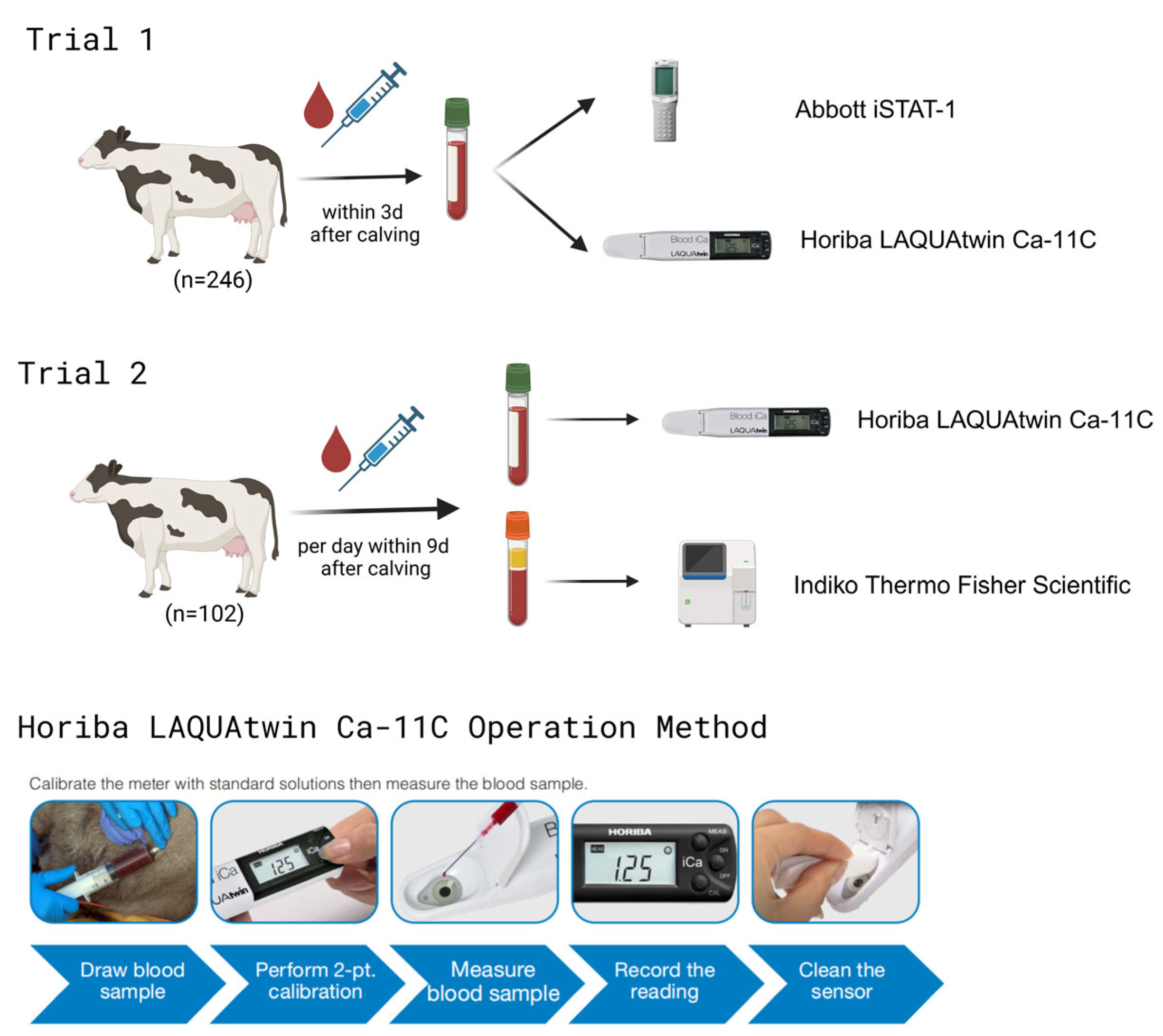 Animals 15 00136 g001