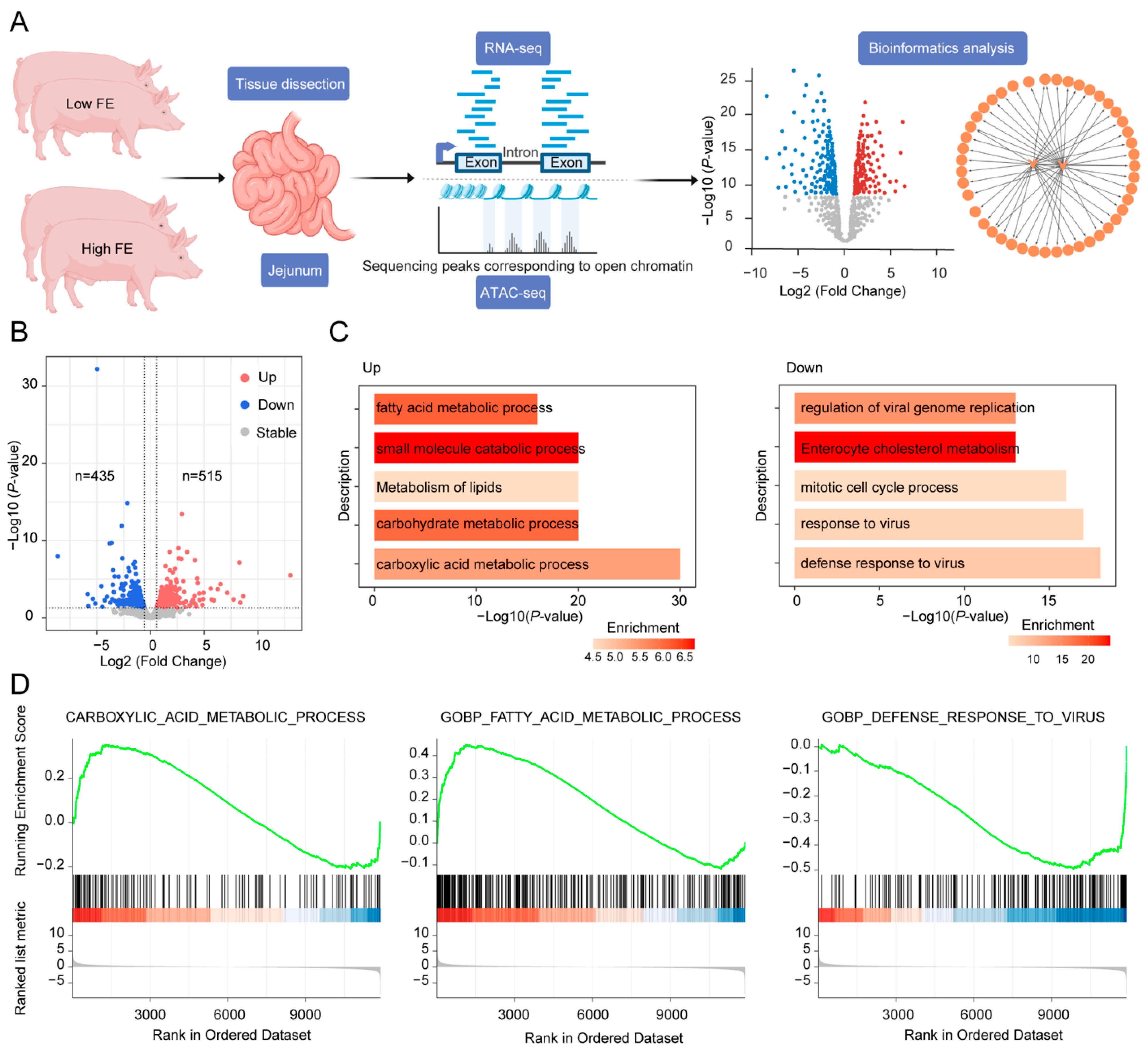 Animals 15 00137 g001