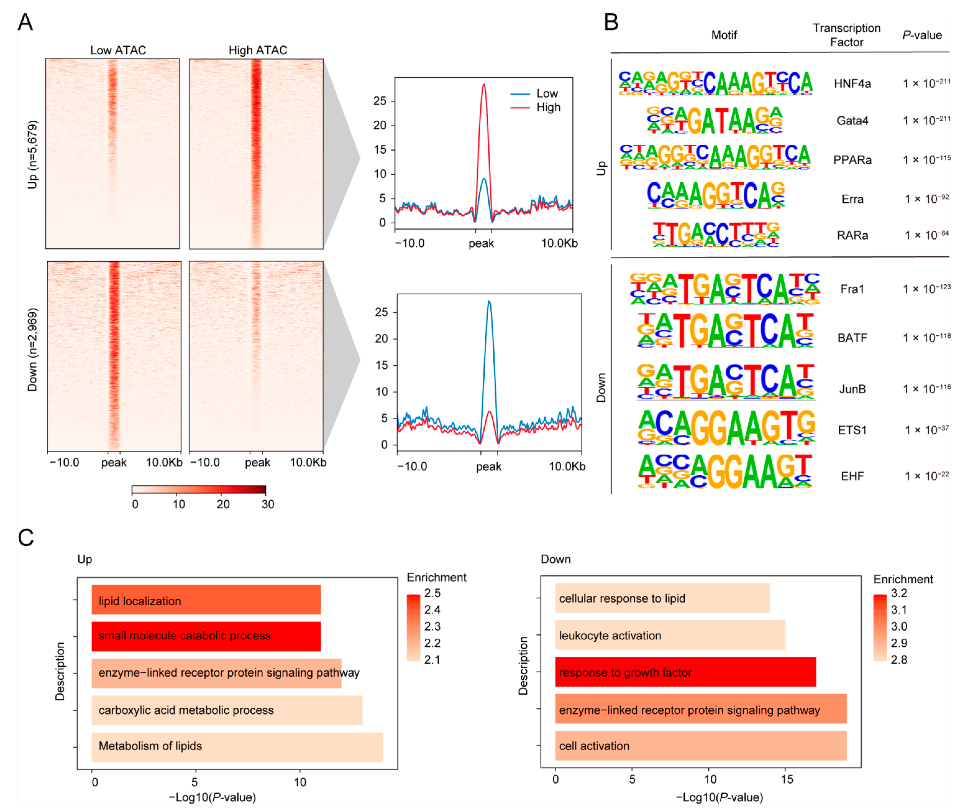 Animals 15 00137 g003