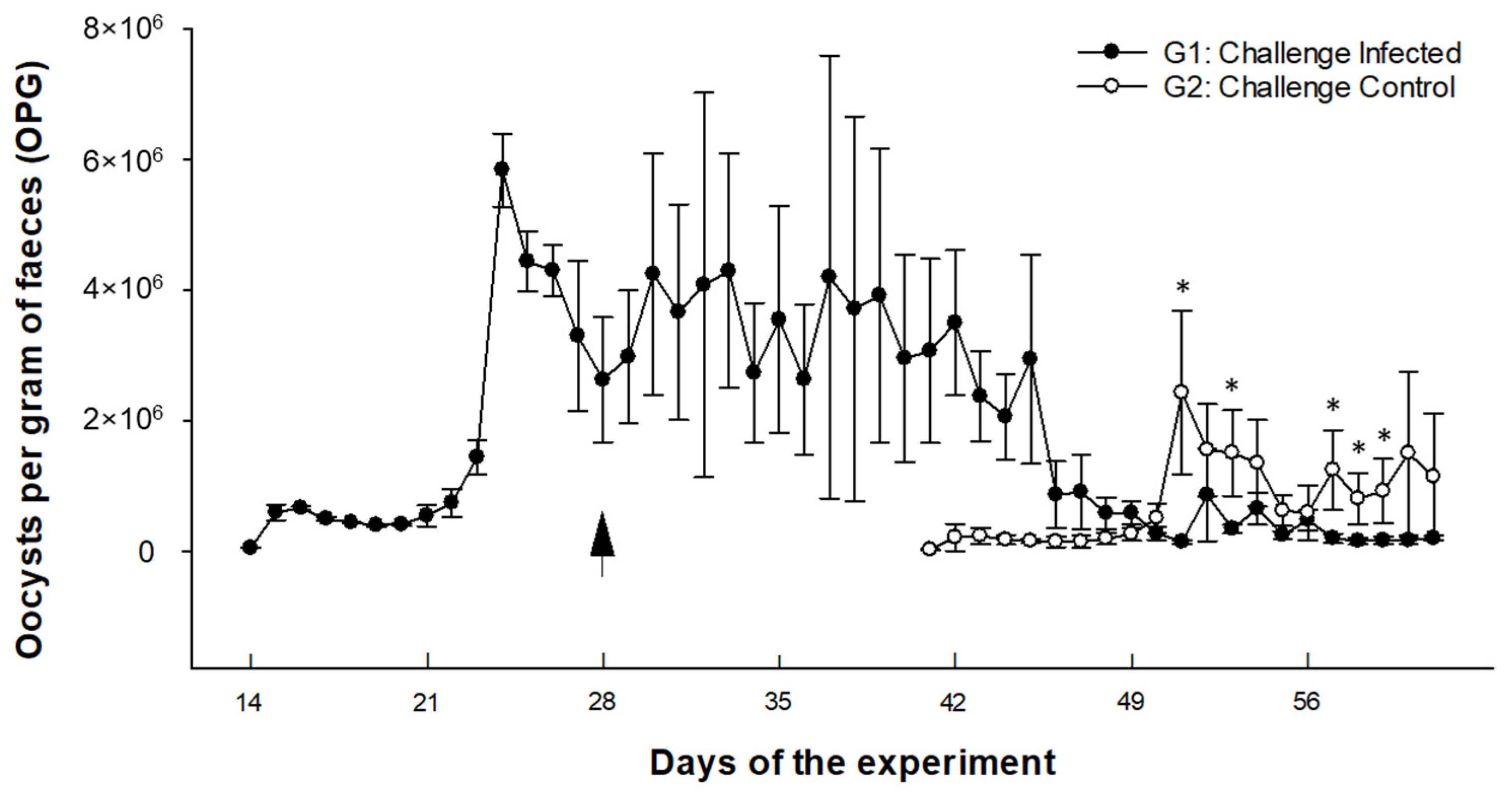 Animals 15 00139 g002