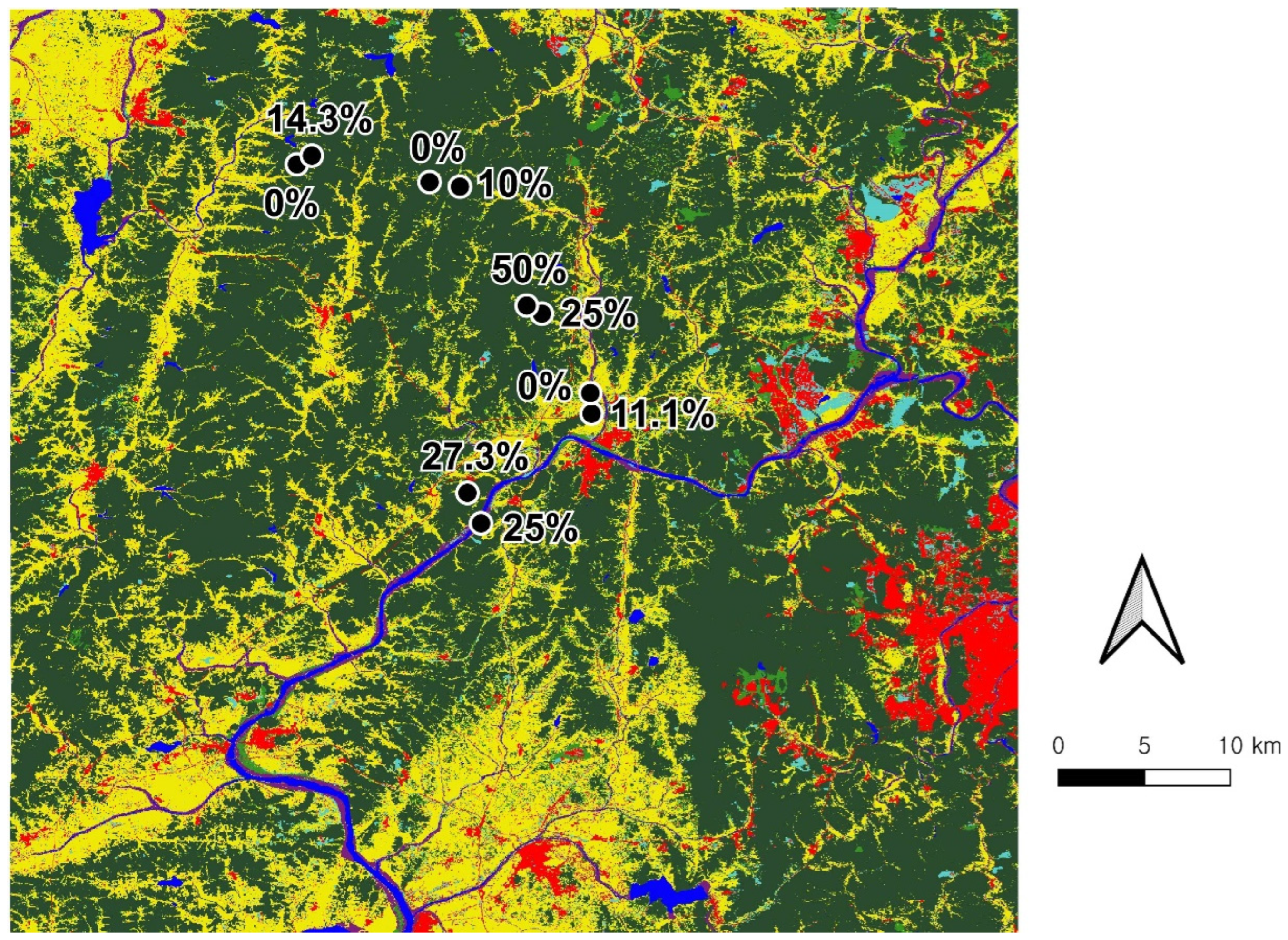 Animals 15 00154 g001